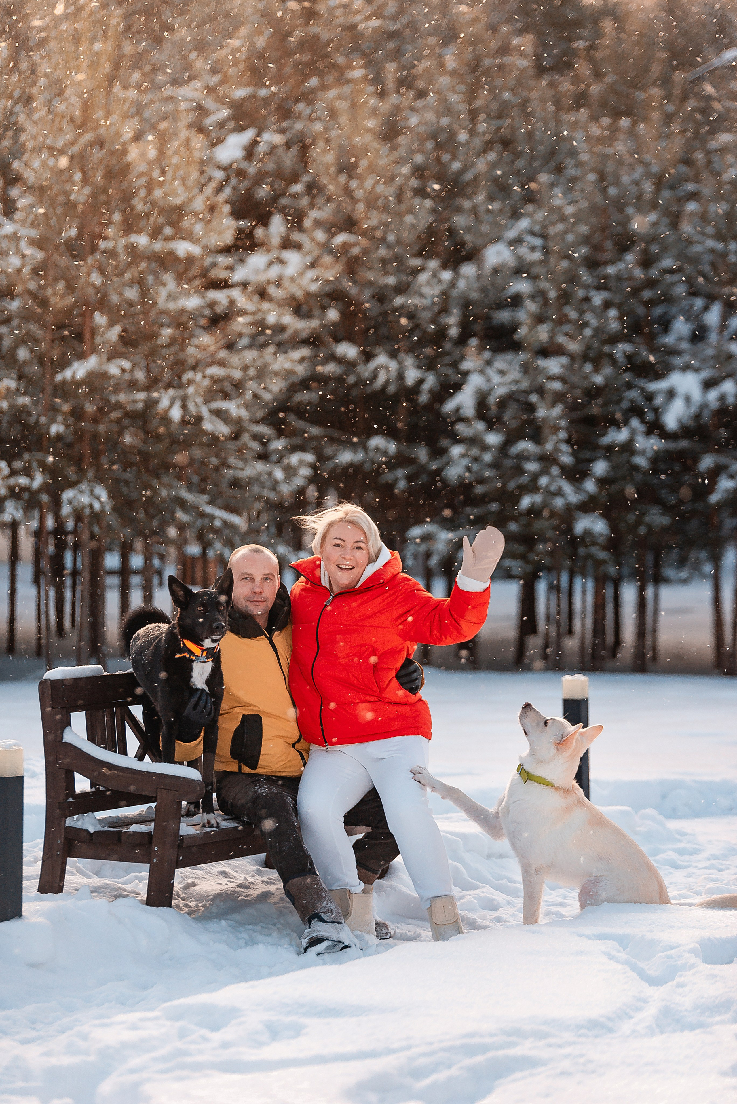 Татьяна, Михаил, Шелли и Лаки. Фотограф-анималист Анастасия Парфенова|Екатеринбург