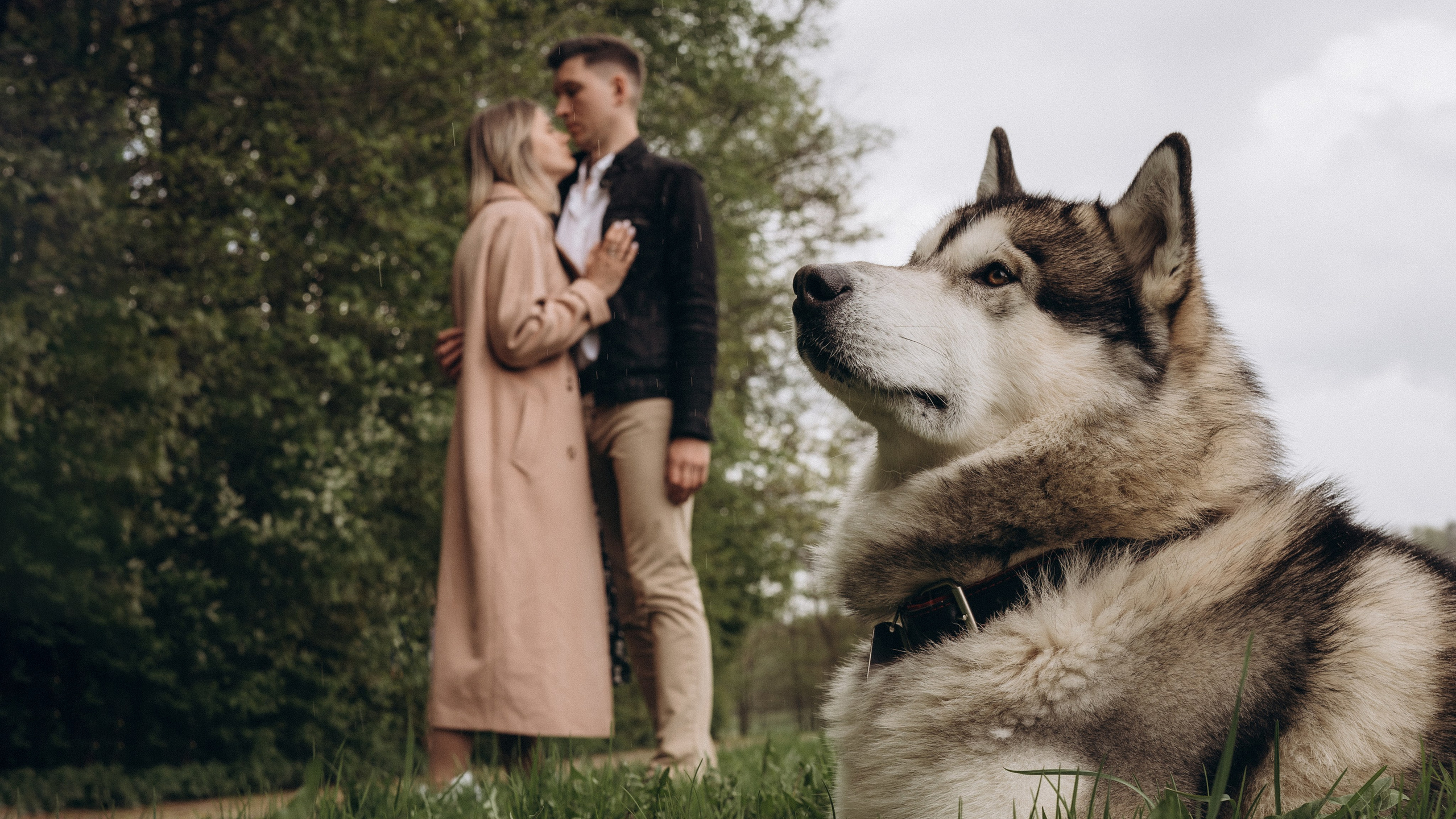 Дмитриева Светлана женский и семейный фотограф Рига, Москва, Геленджик