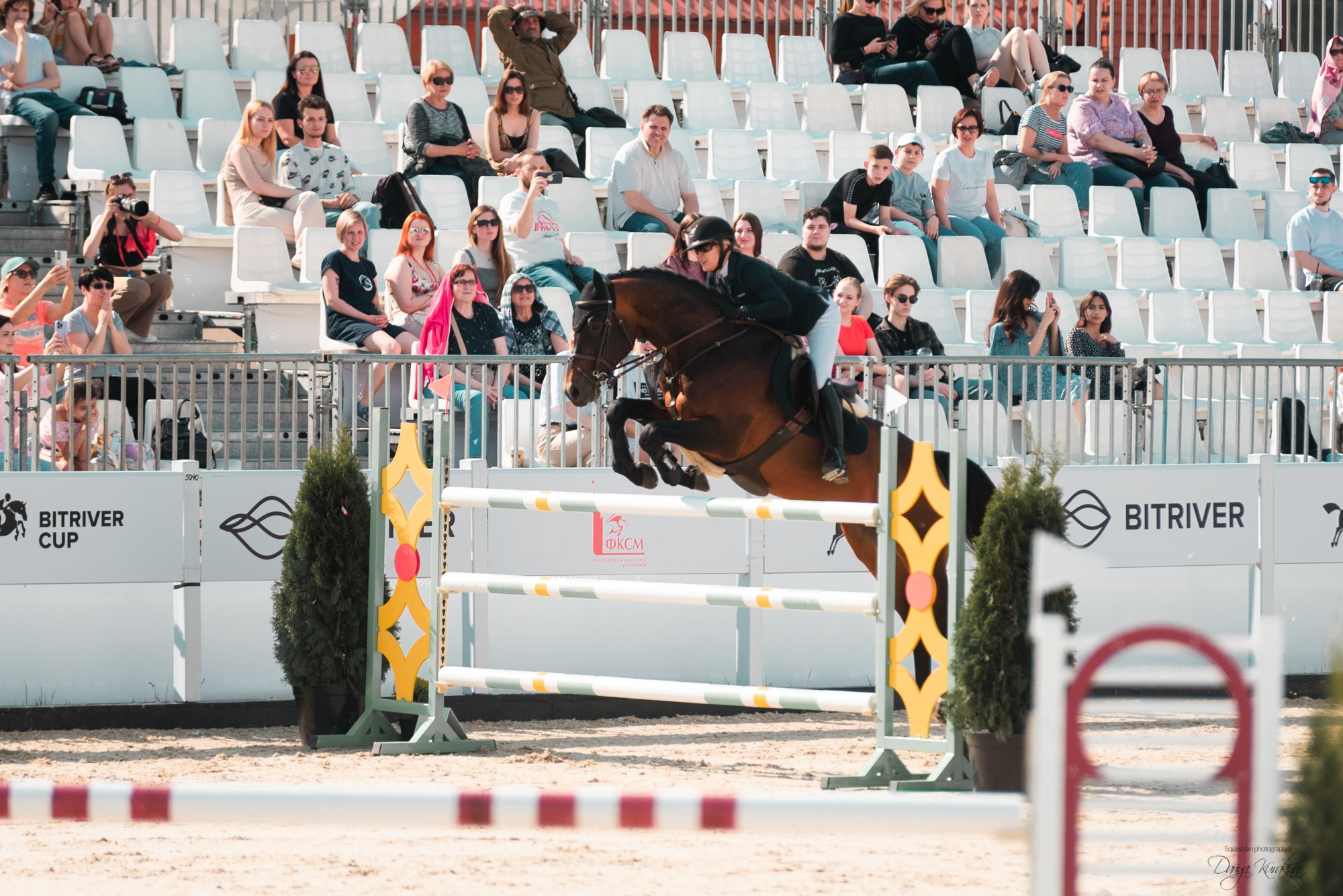 BITRIVER CUP 2023. Конный фотограф Куракина Дарья • Фотосессии с лошадьми