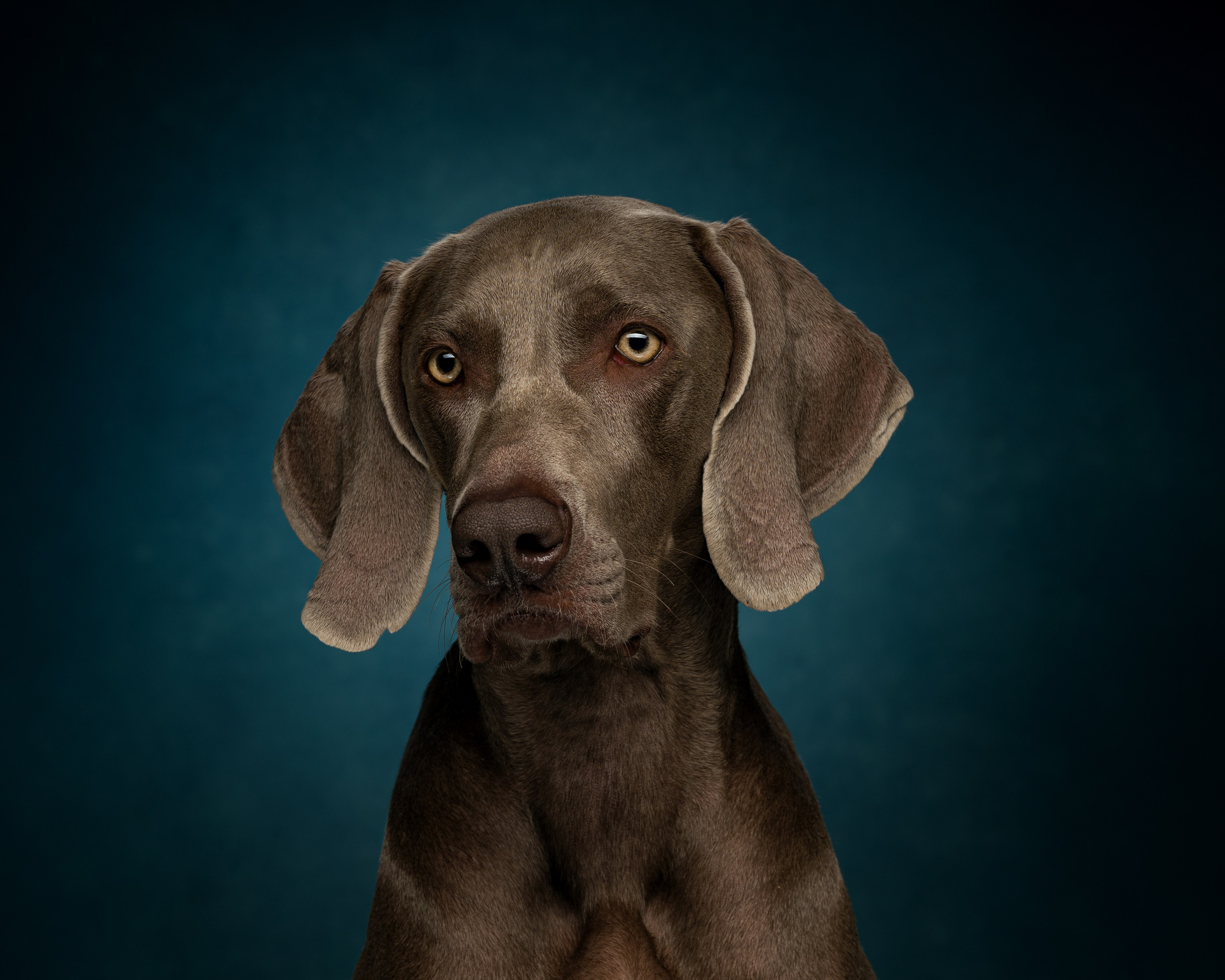 Студийные съемки. Портретный фотограф в Челябинске Катерина Руди