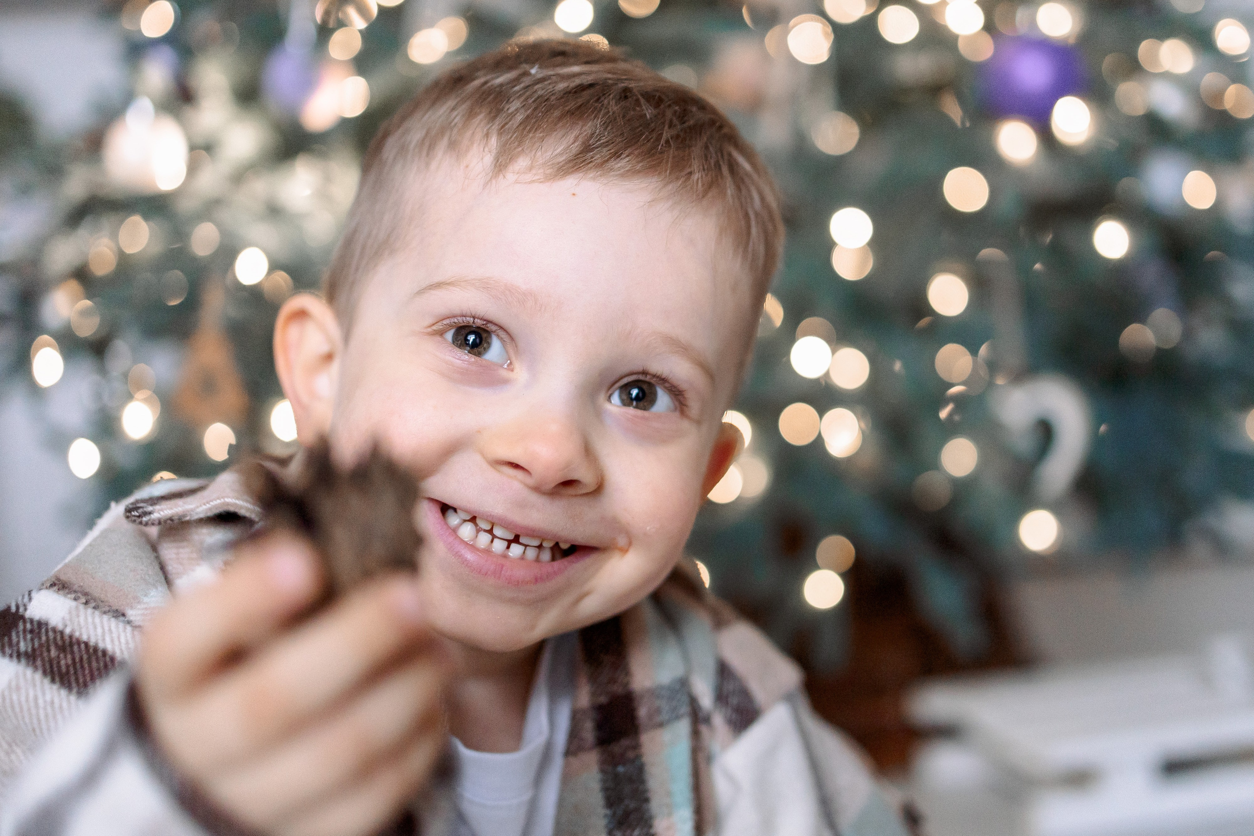 Домашняя новогодняя история