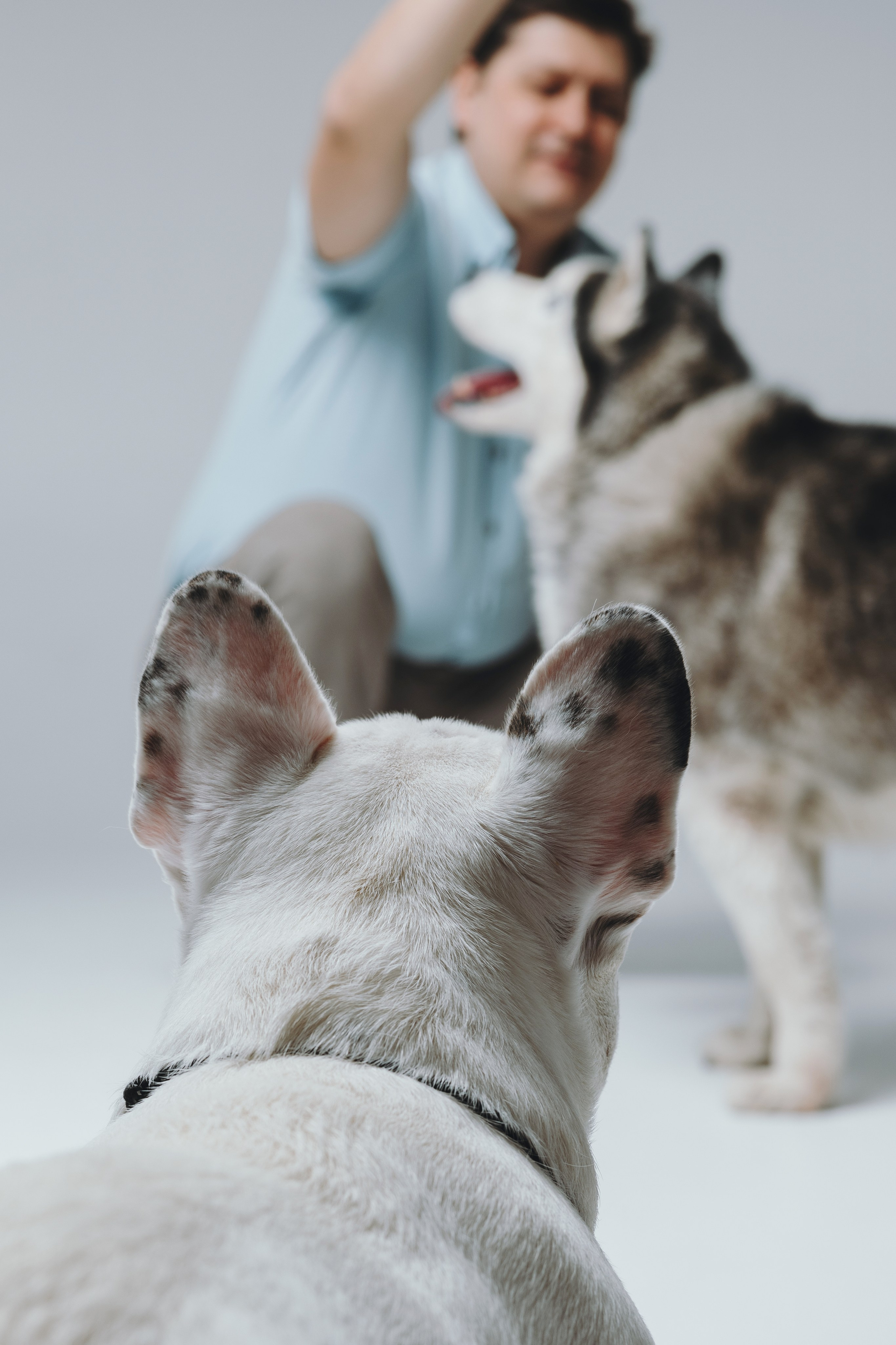 Елена, Дмитрий, Джем и Зефир. Фотограф — анималист Владивосток, Алина