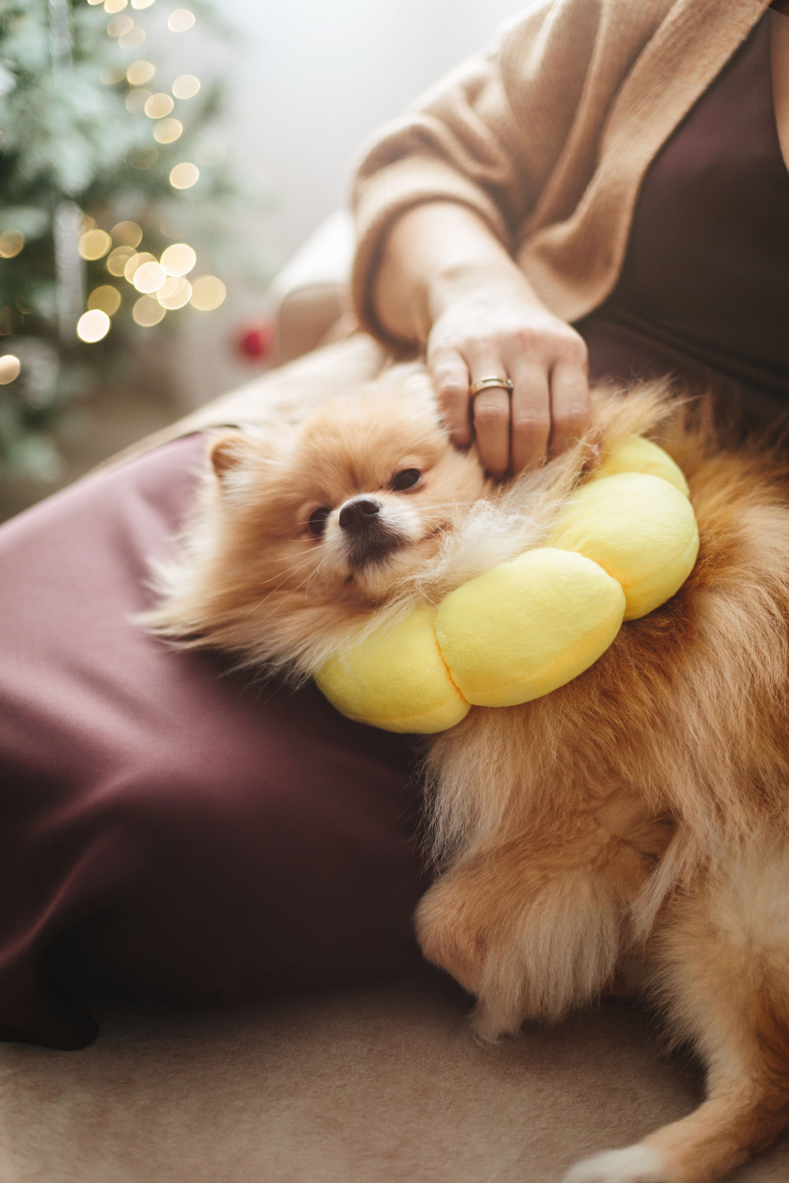 Домашняя съемка Маша и девочки. Детский и семейный фотограф в Москве Татьяна Козлова
