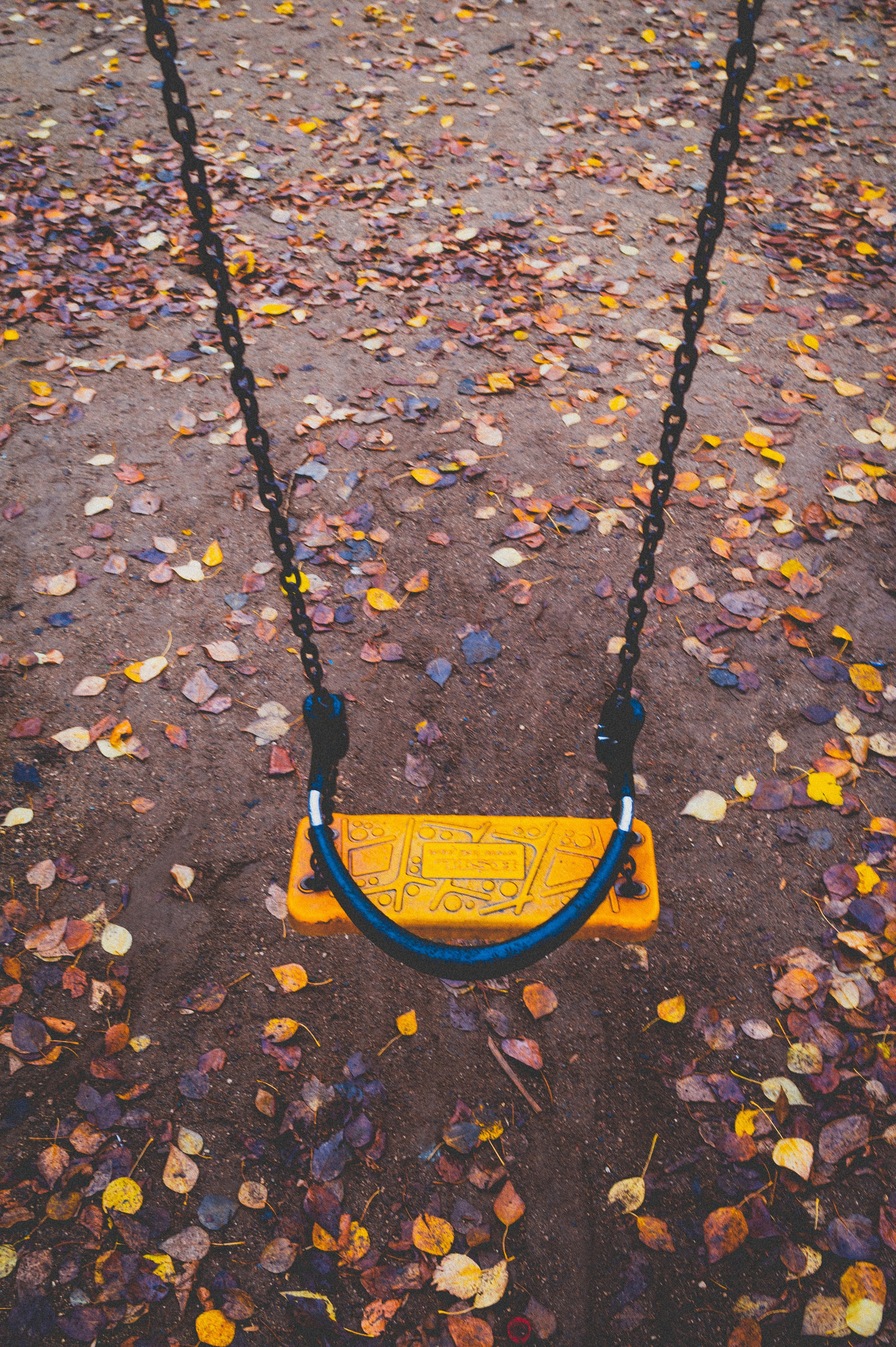 Октябрь 2025. Den Mirov — Фотограф, Музыкант