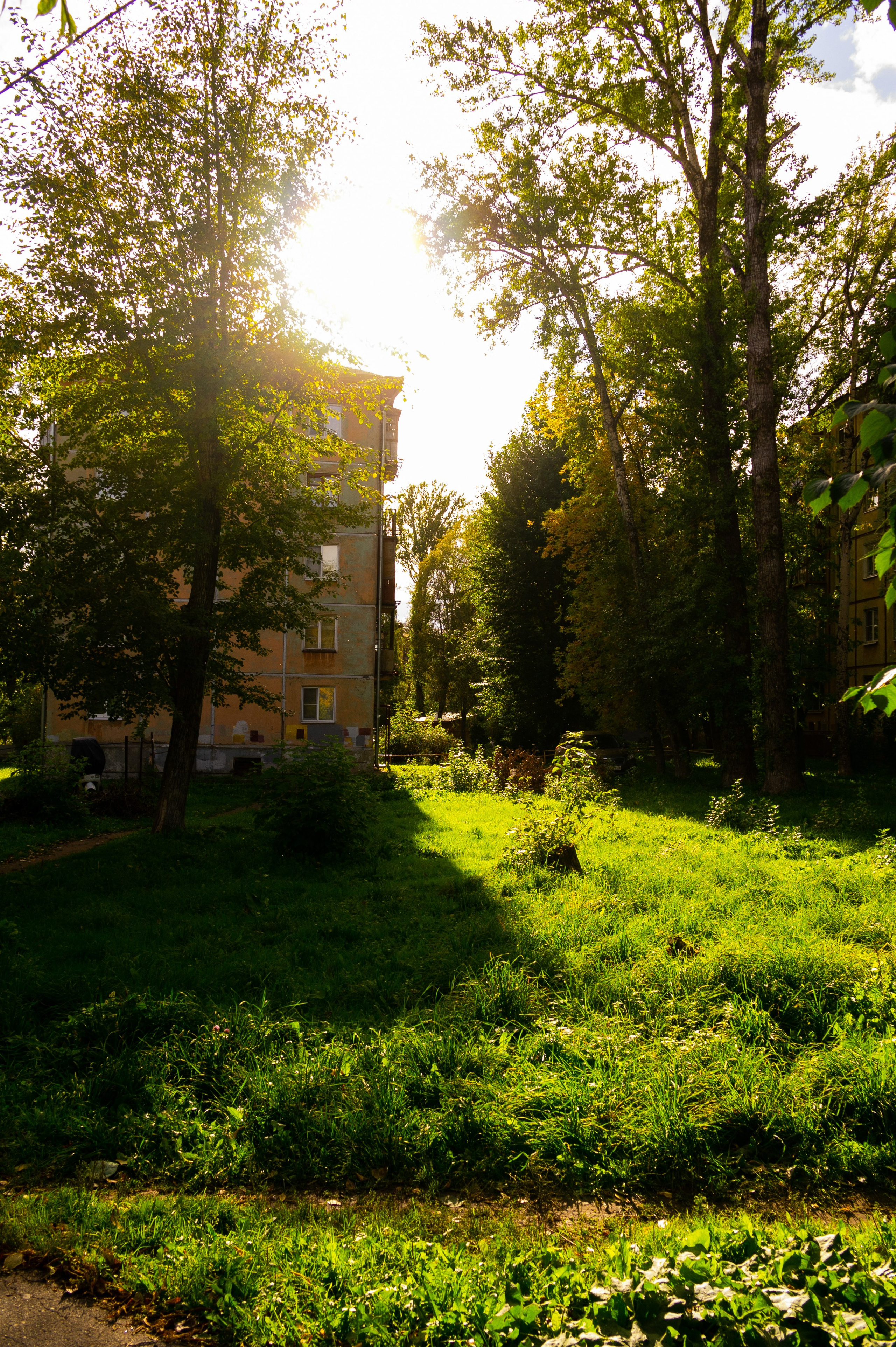 Сентябрь 2025. Den Mirov — Фотограф, Музыкант