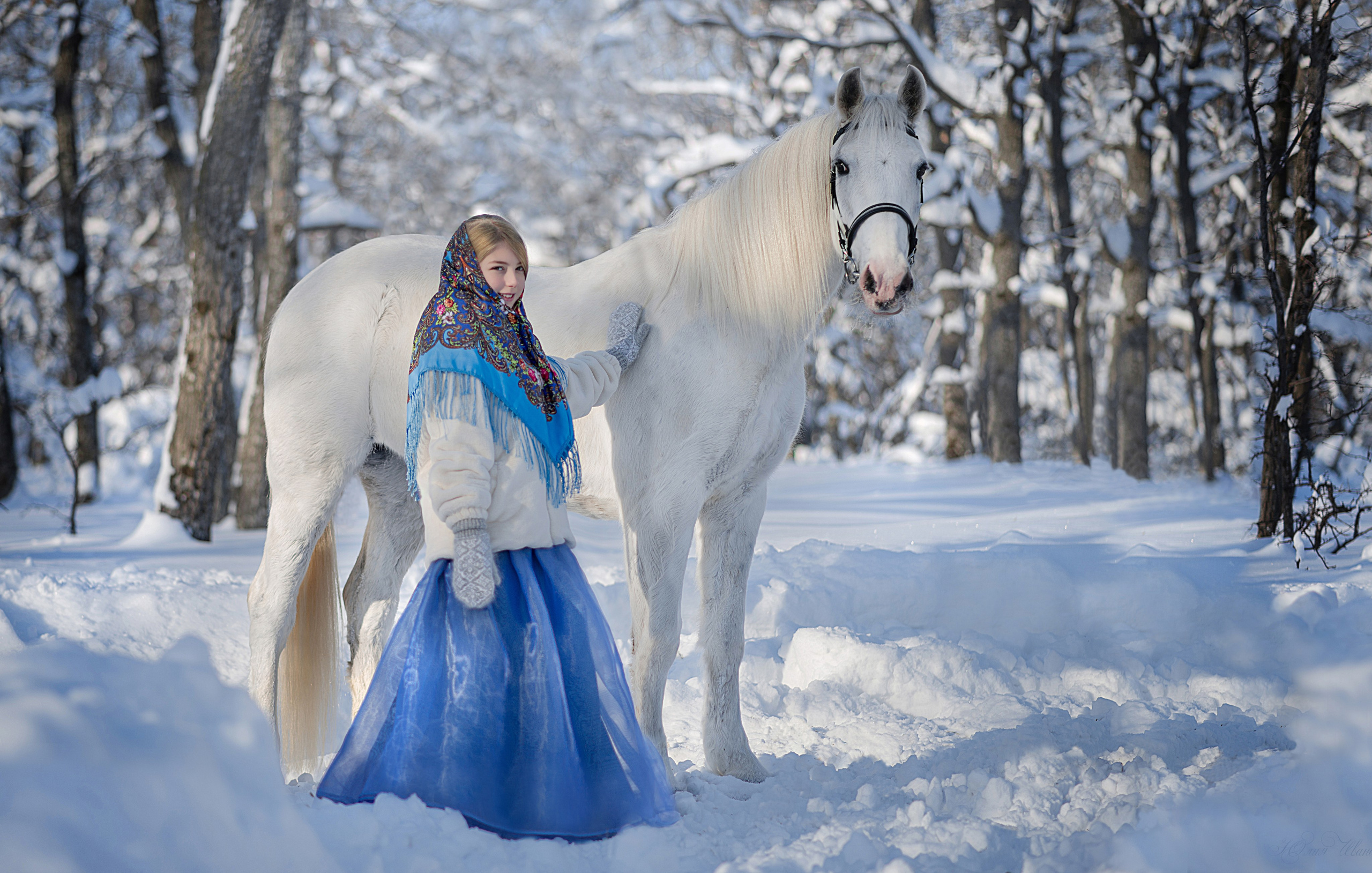 Фотодень с  Каспийцем. Конный фотограф в Саратове Юлия Иванова