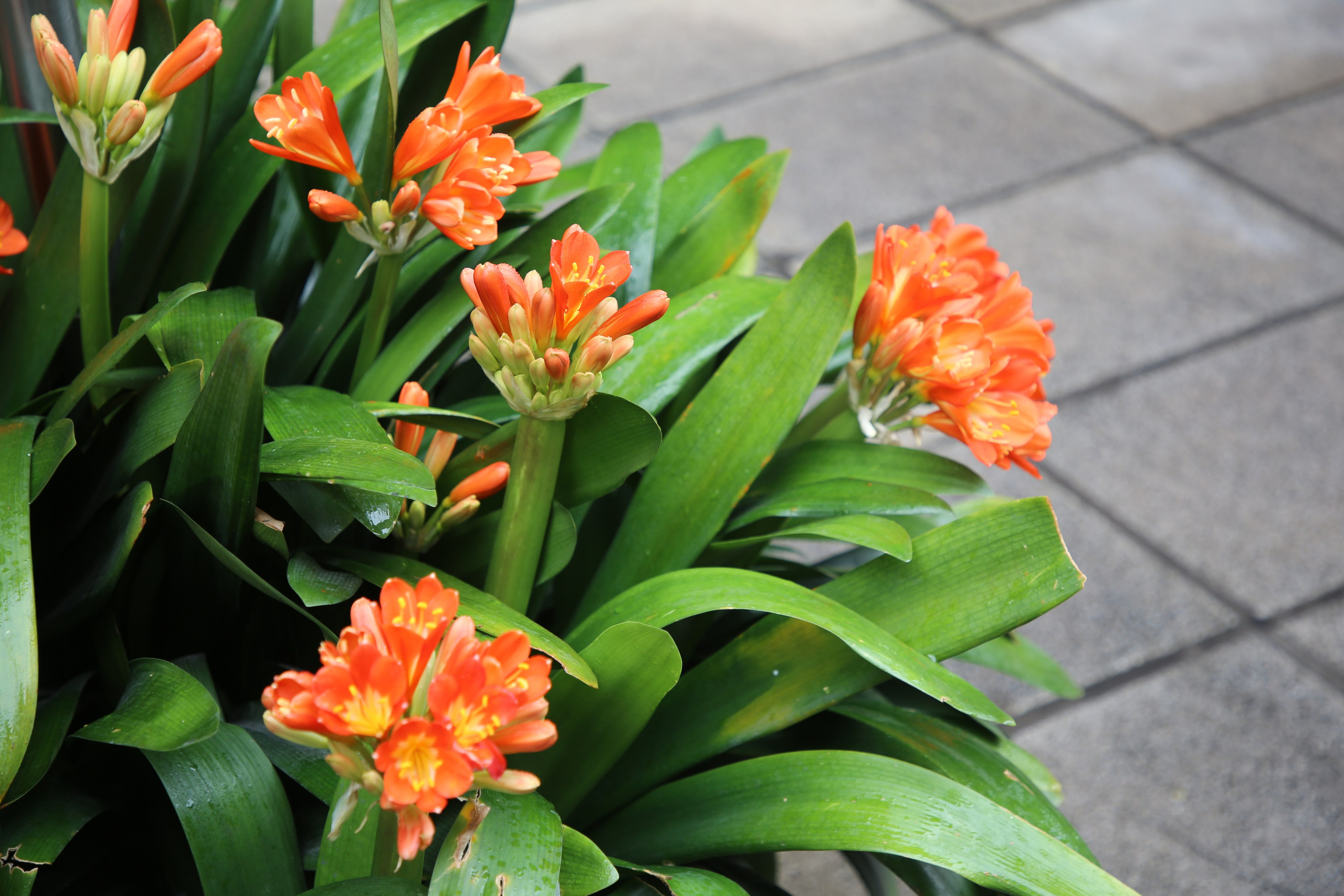 Buenos Aires, Argentina. Andrey Filippov Photographer