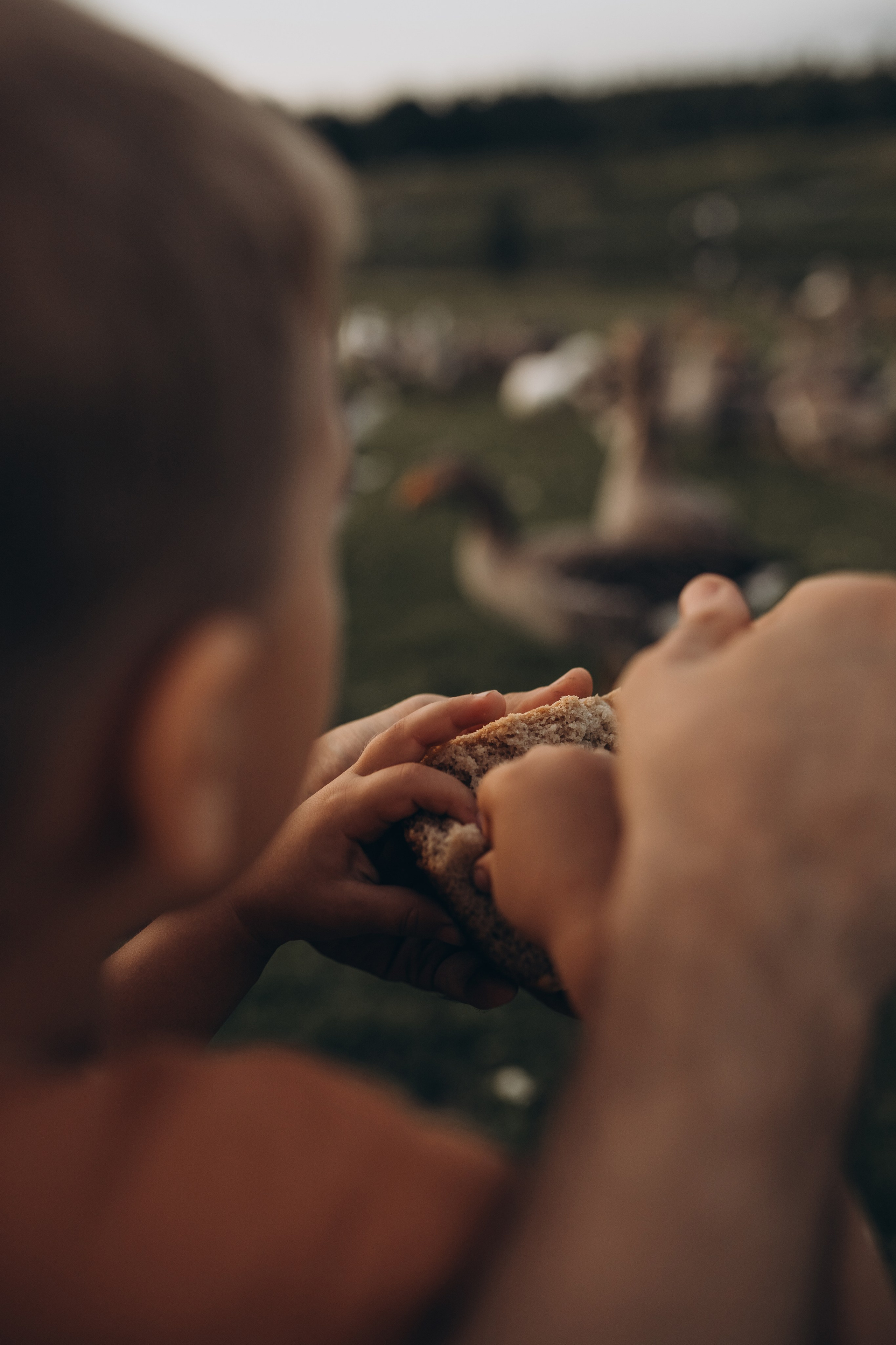 Став одним движением ветра. Семейный фотограф в Брянске Зурилина Екатерина
