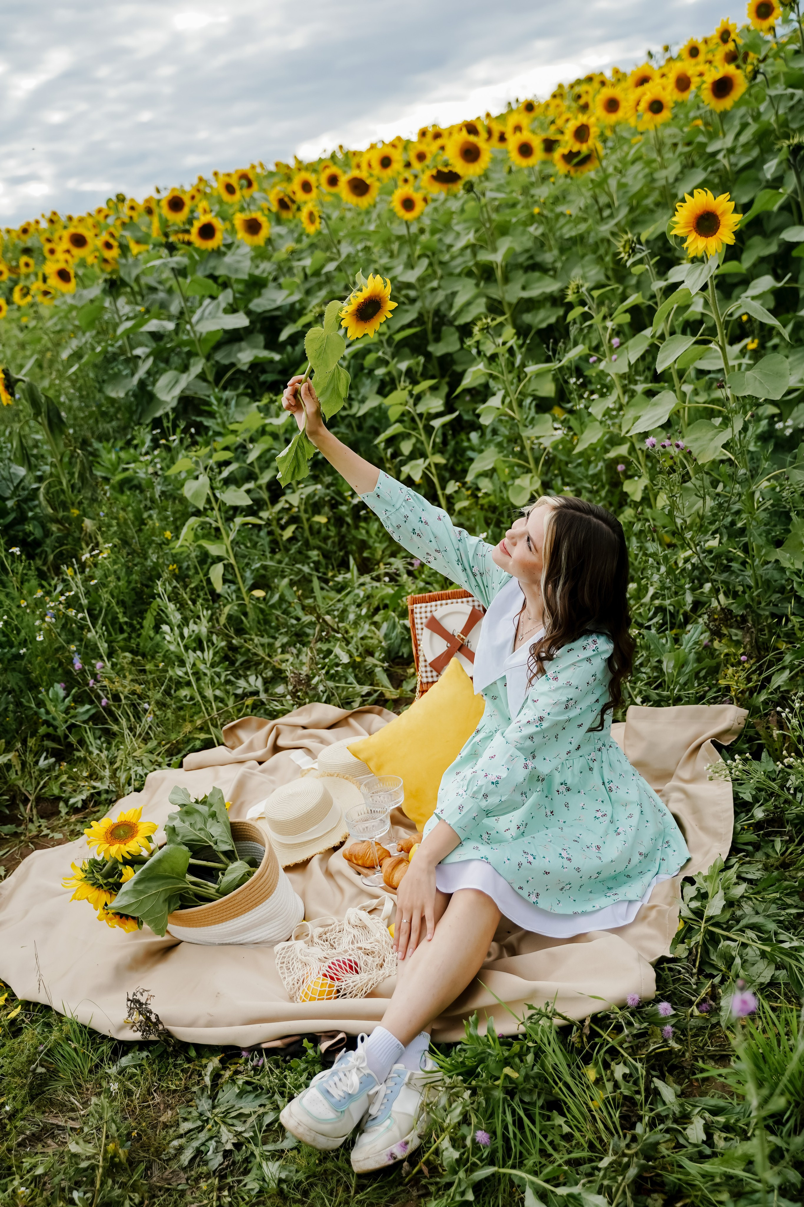 Подсолнухи. Бирск