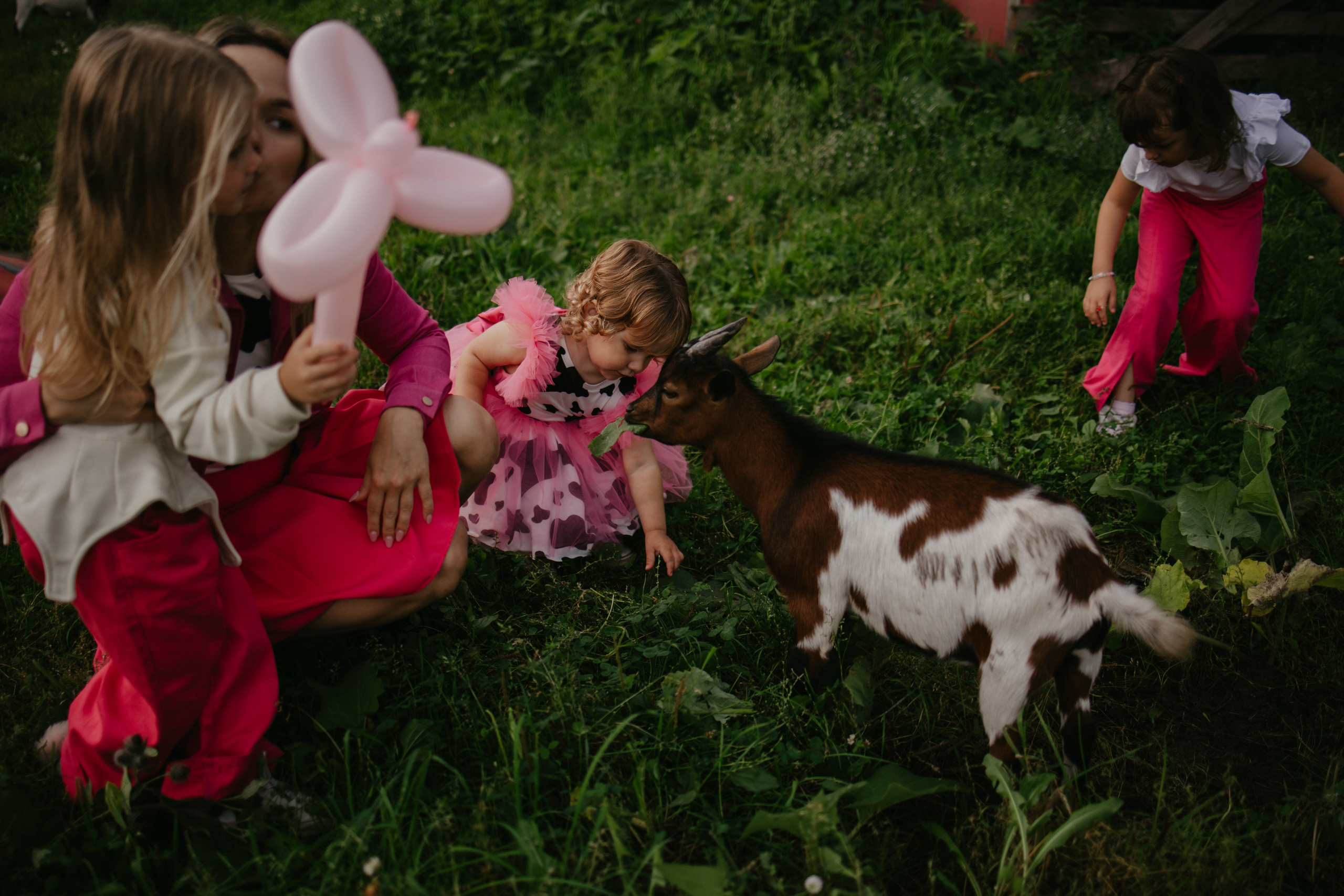 Лера 2 годика. Репортажный и портретный фотограф в Санктпетербурге. Видиосъемка мероприятий в Санкт-Петербурге