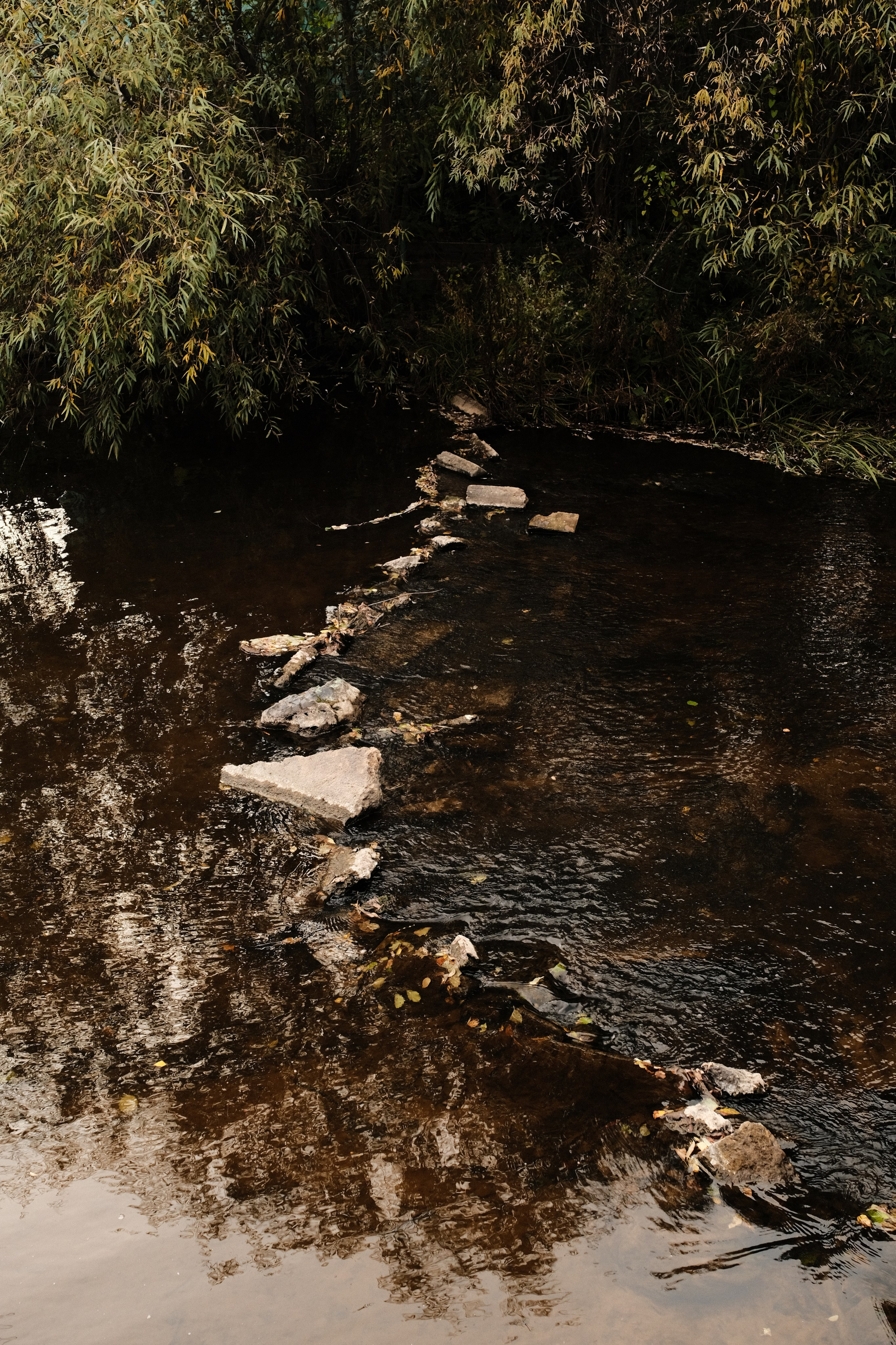 Пейзажи. Фотограф-любитель из Кирова Андрей Погребняк