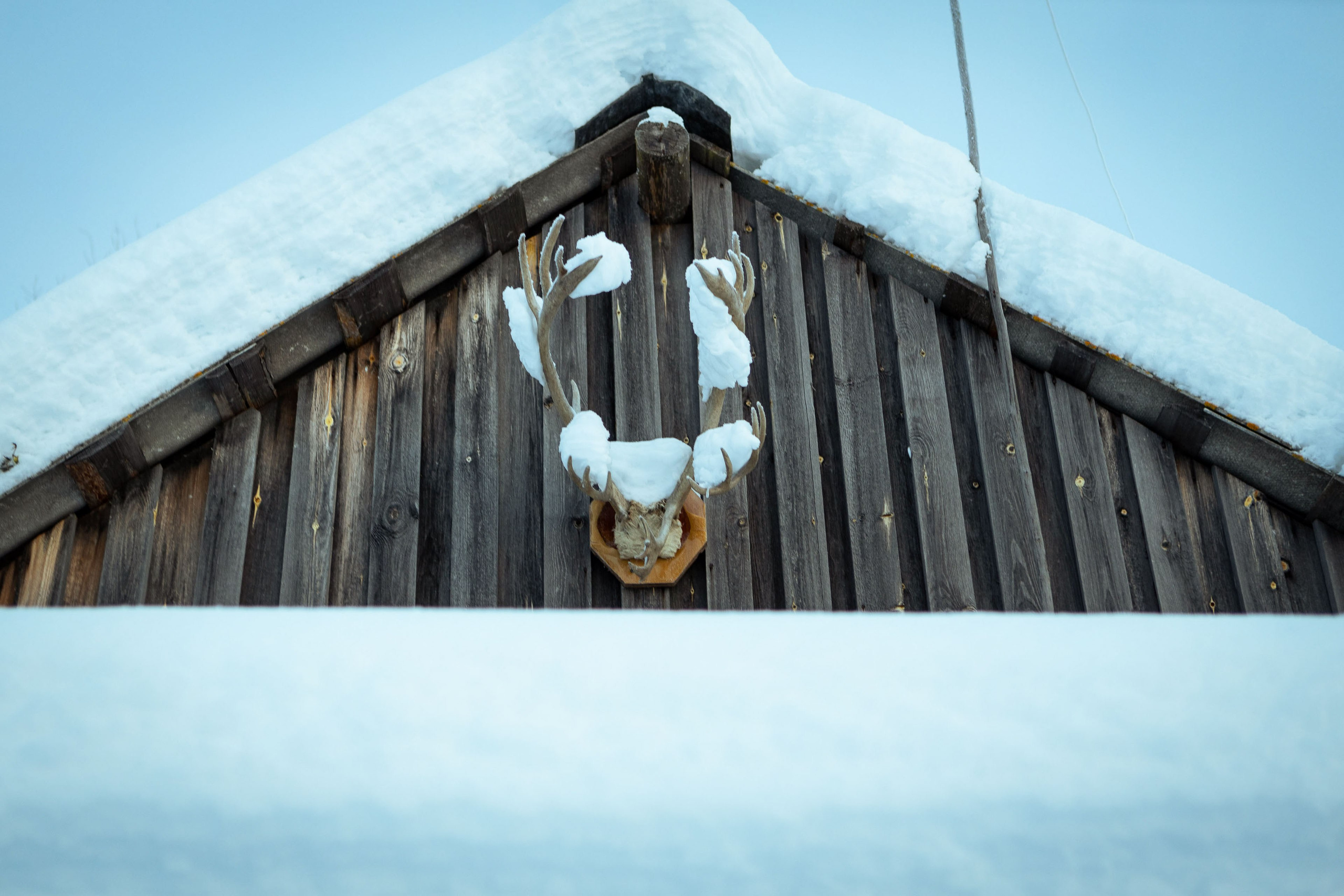 Калевала (зима 2022). Фотограф Виноградов Константин