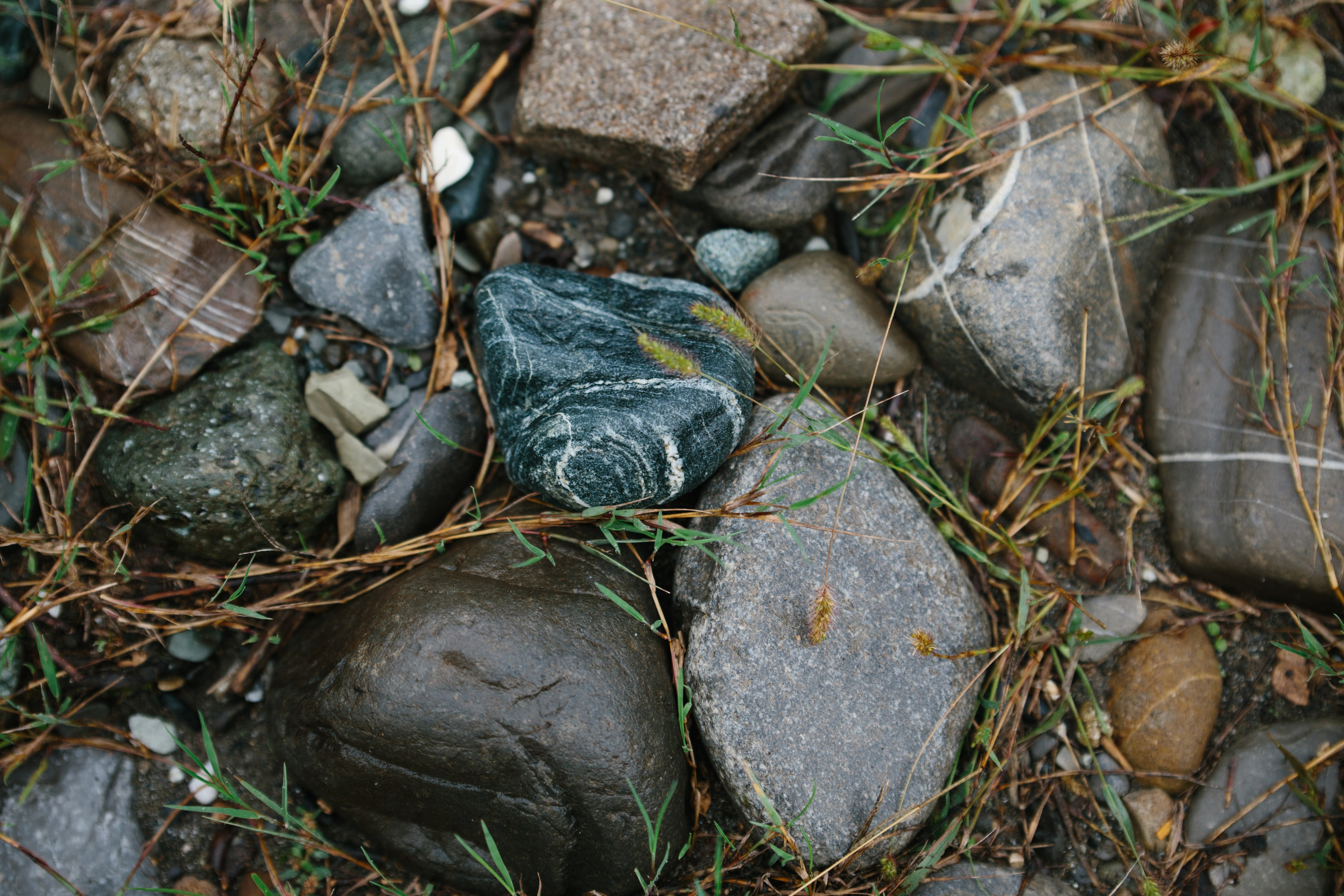 Оштенский Кордон. Семейный фотограф в Белгороде