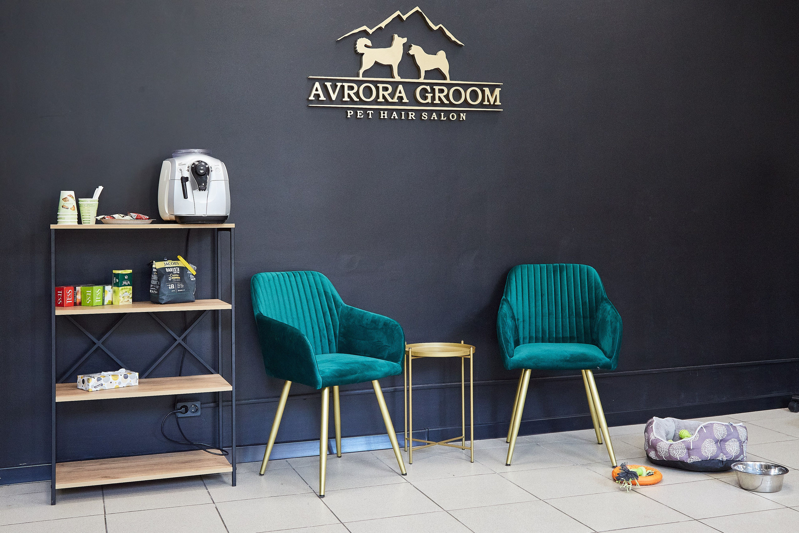 Зоопарикмахерская Avrora Groom. Фотограф Анастасия Леонтьева Санкт-Петербург