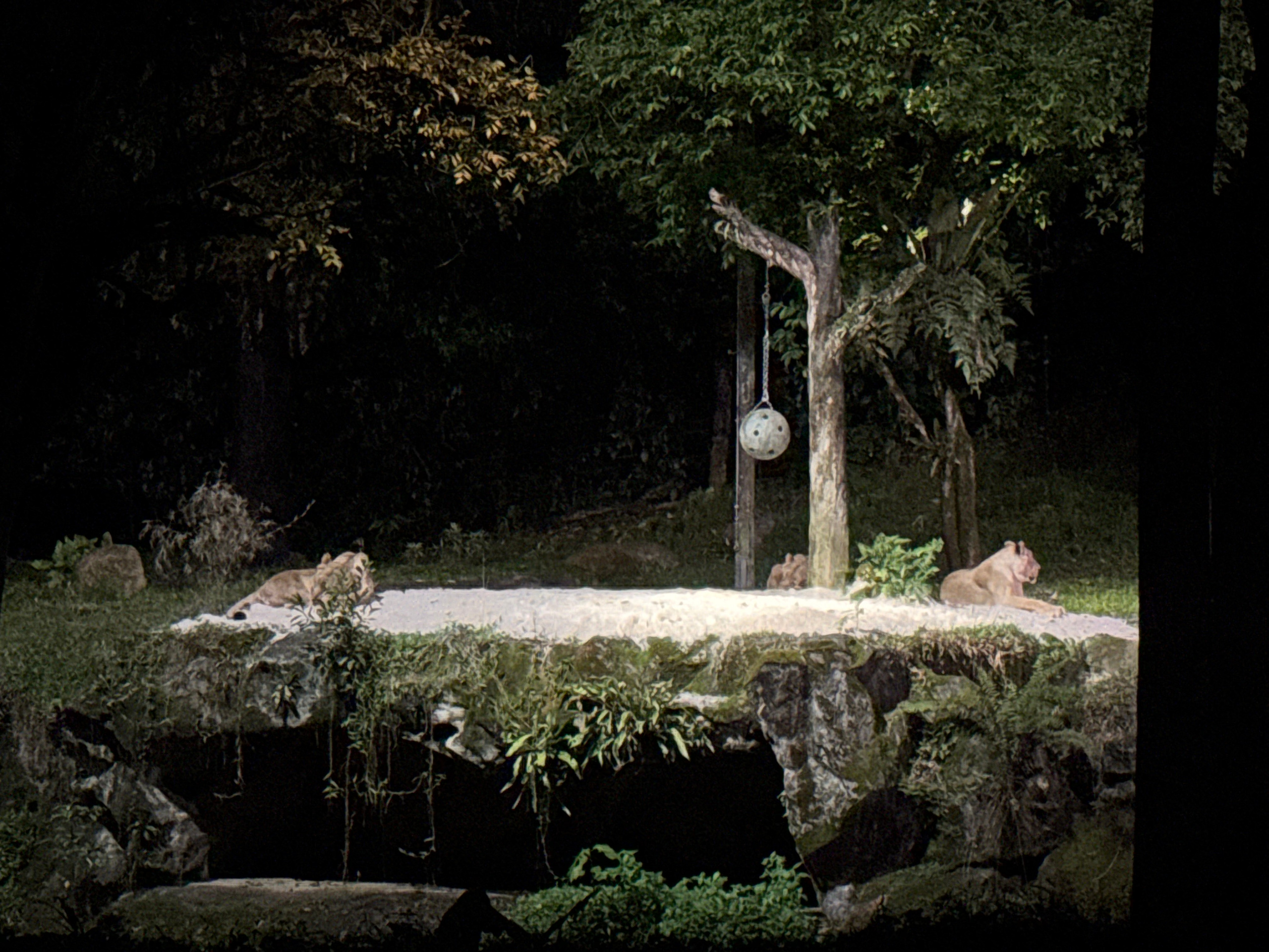 Сингапур 2025. А вот и да!