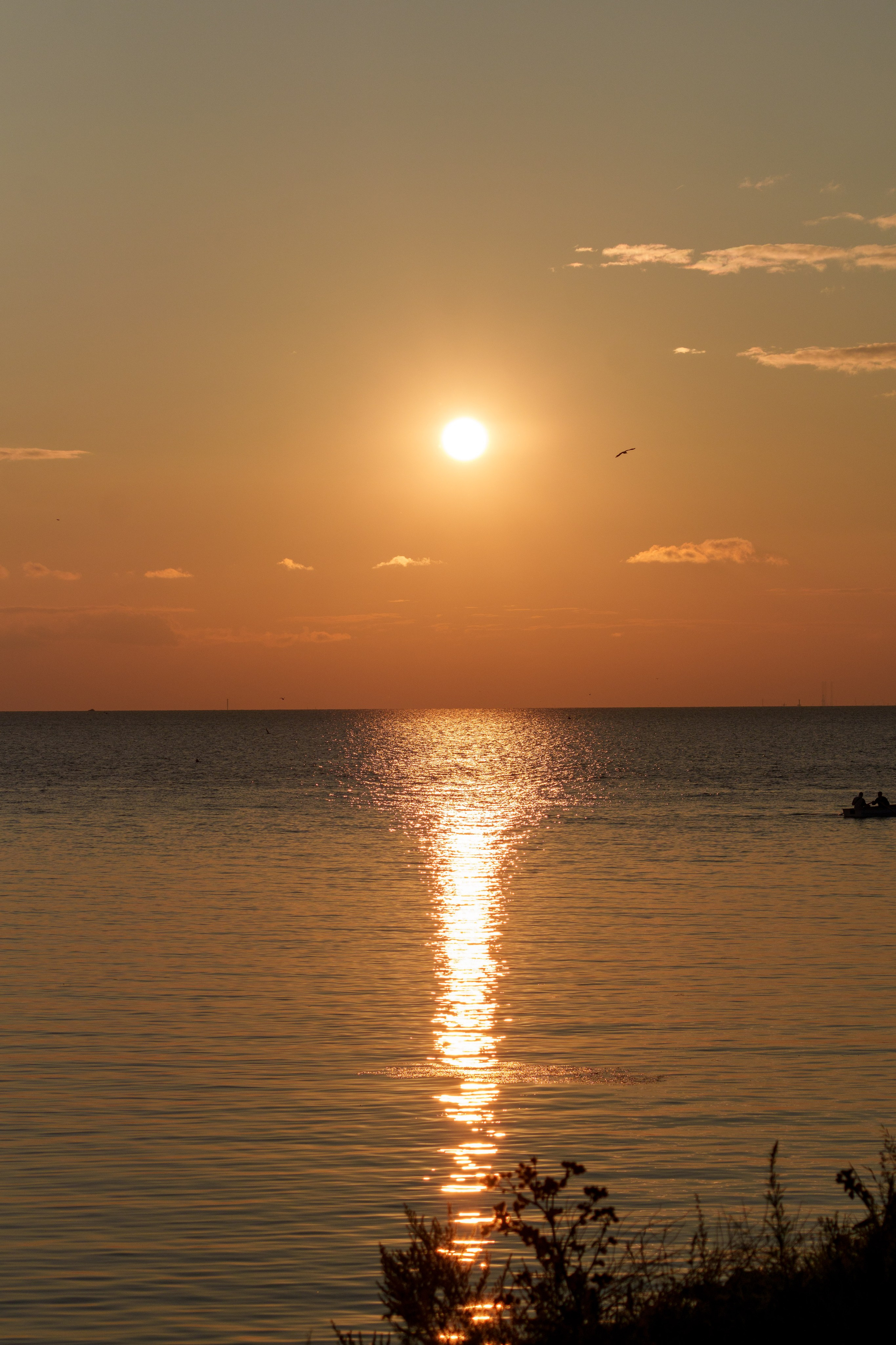 Природа. Фотограф в Санкт-Петербурге Ибрагимова Алина