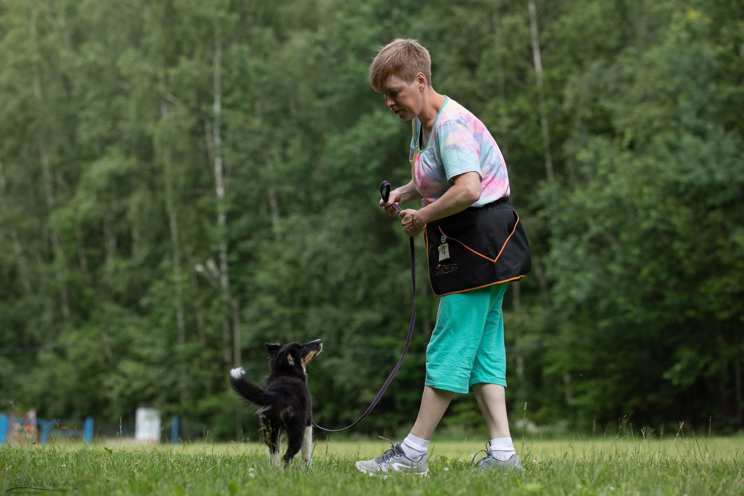 Репортаж с выводки молодняка колли/шелти в Ясенево. Фотограф-анималист в Москве и Московской области Татьяна Фролова