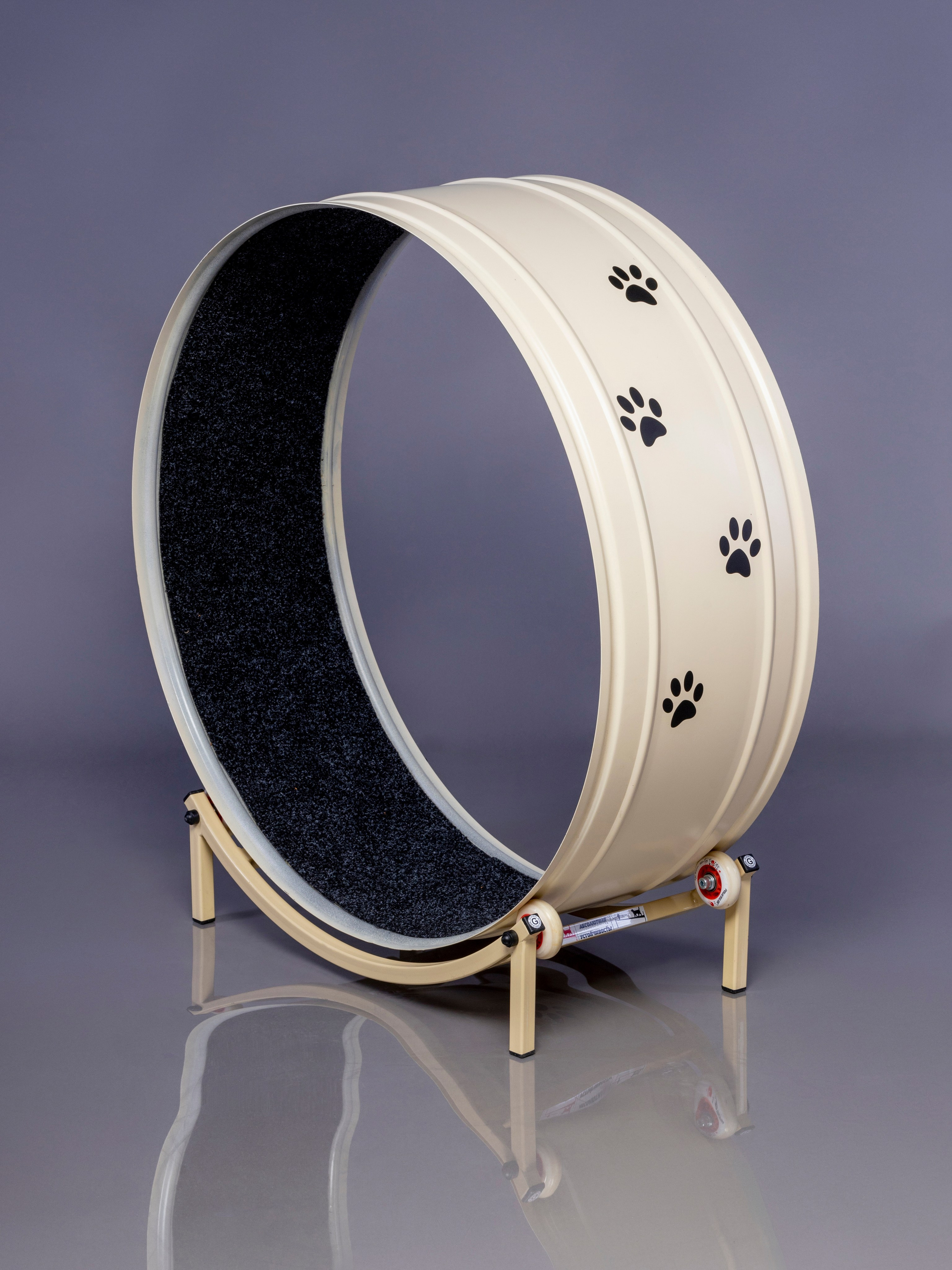 Беговая дорожка для кошки. Фотограф в Туле Крупский АнДРей. Фотостудия «КАДР71» в Туле