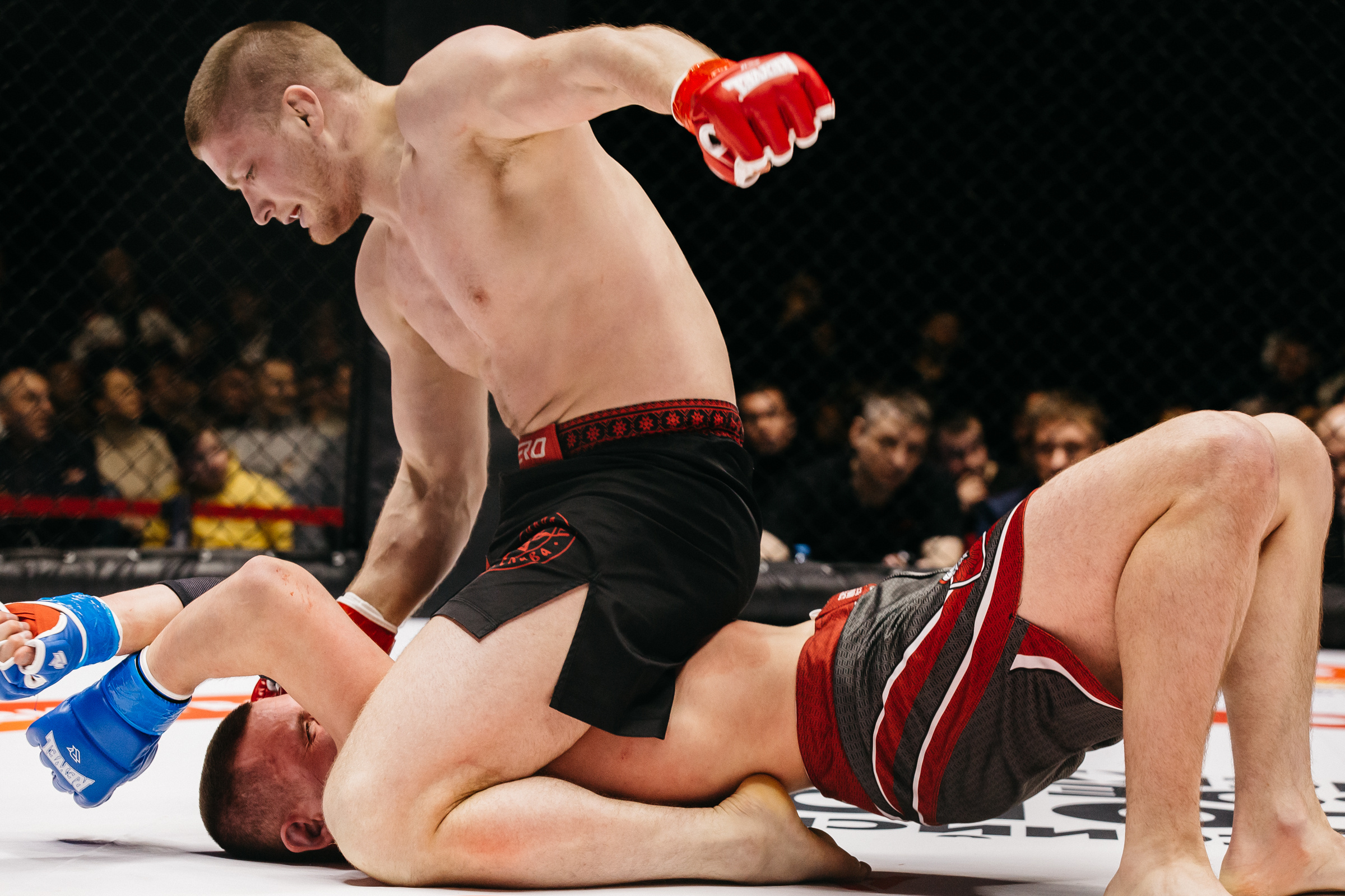 Репортаж спортивных соревнований в Питере