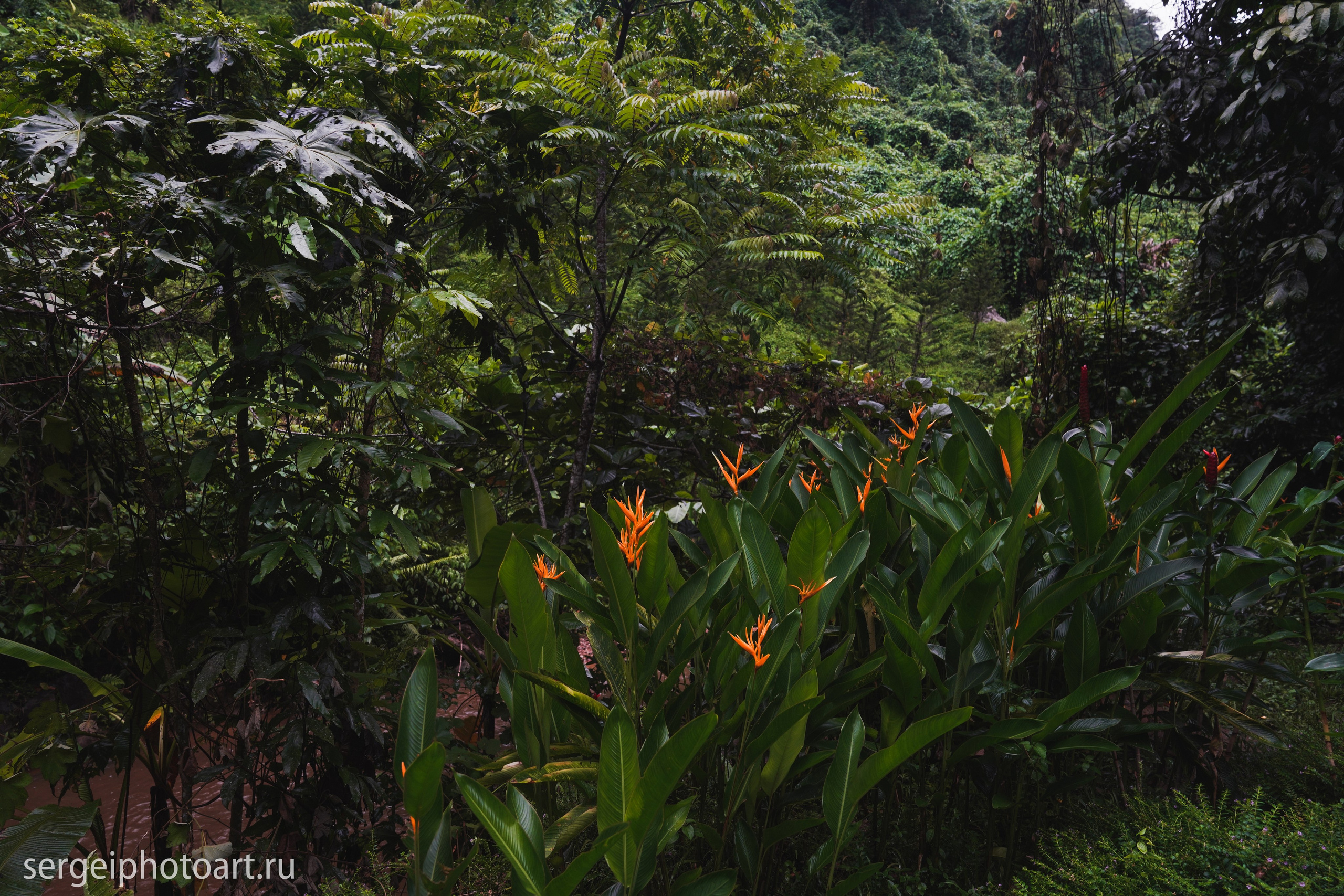 Небесные врата Донг Зянг Дананг. Фотограф Сергей Кишкель Дананг Нячанг Фукуок