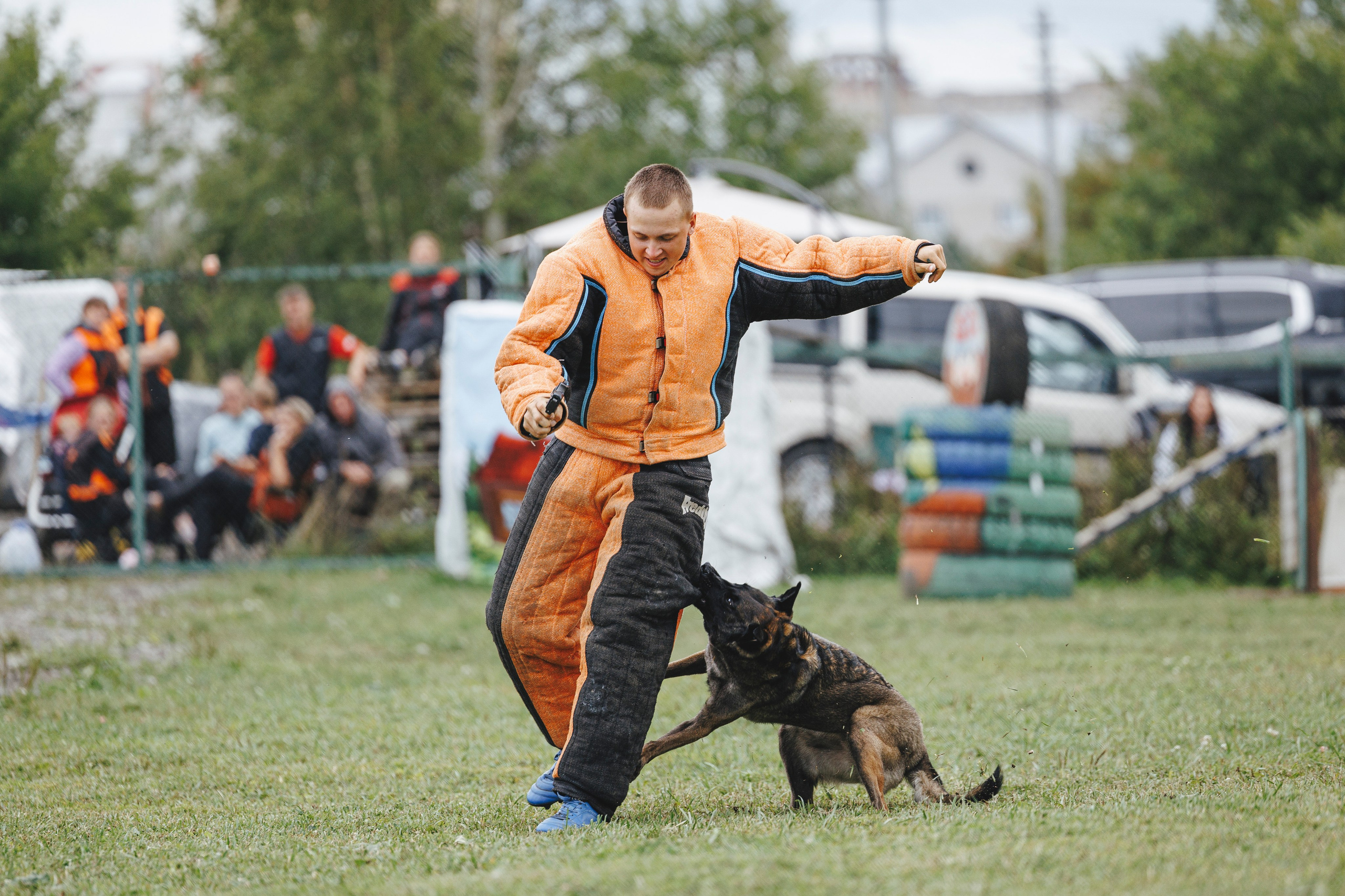 08.08.25-10.08.25 ЧР по мондьорингу г. Вологда. Фотограф-анималист Анна Маринич