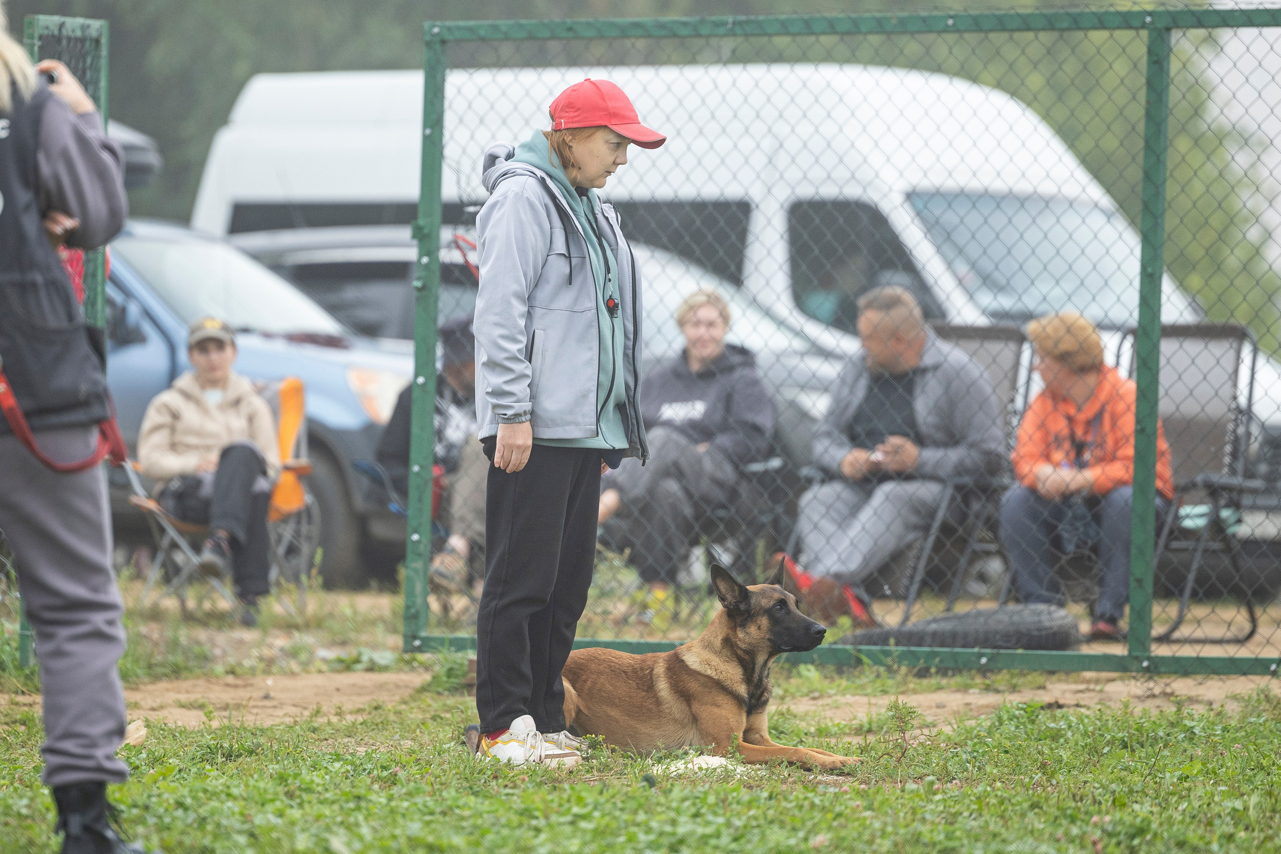 Соревнования по Мондьорингу г. Вологда 10-11.08.2024. Фотограф-анималист Анна Маринич