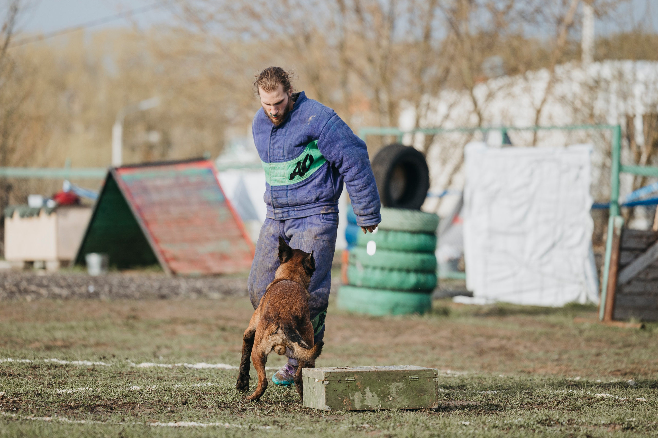 09.05.25 Вологда соревнования. Фотограф-анималист Анна Маринич