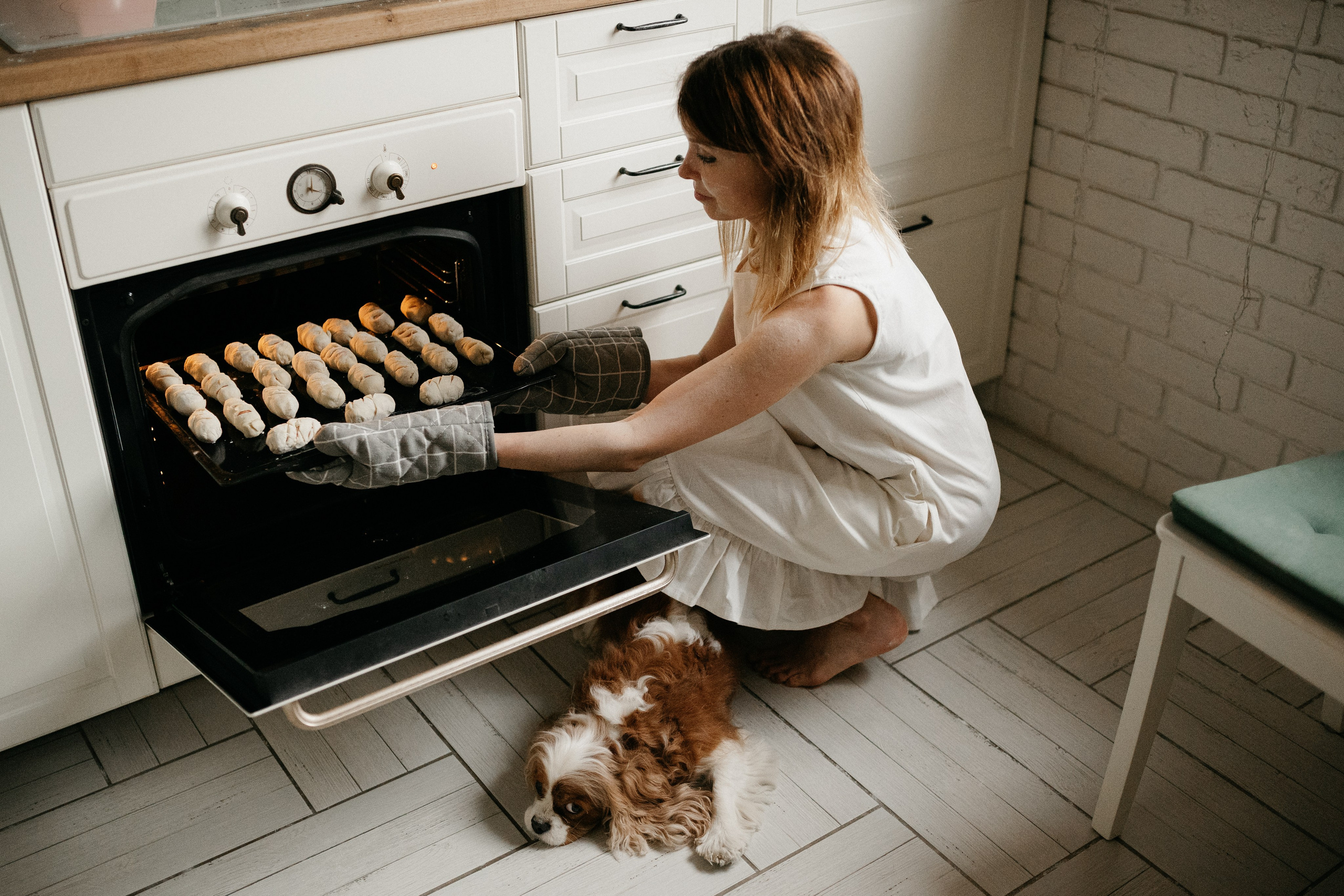 Даша, Диана, Дебби и маленькая крыска. Фотограф анималист в Москве Ольга Агушева