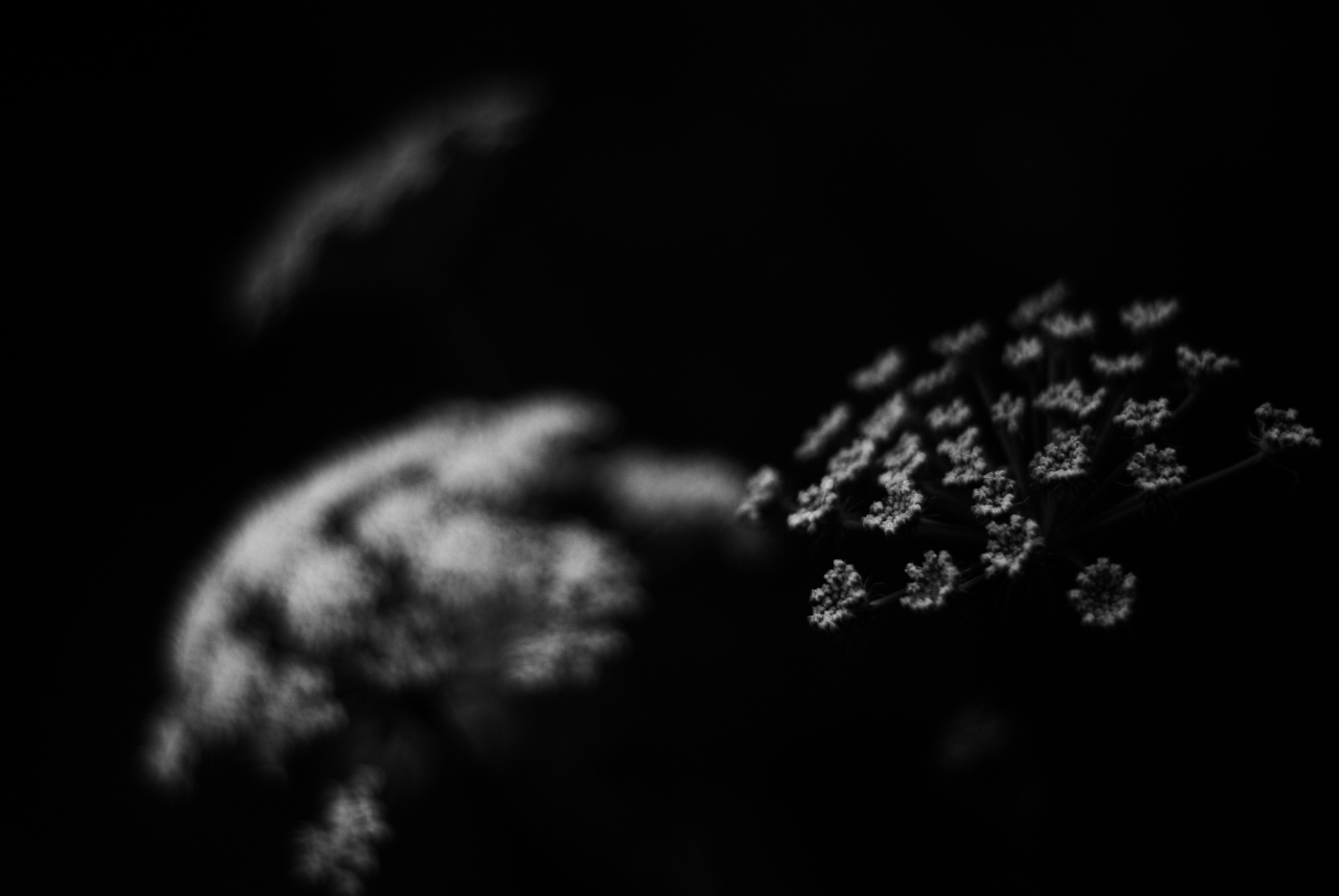 Внутривенные сны (2018-2023)