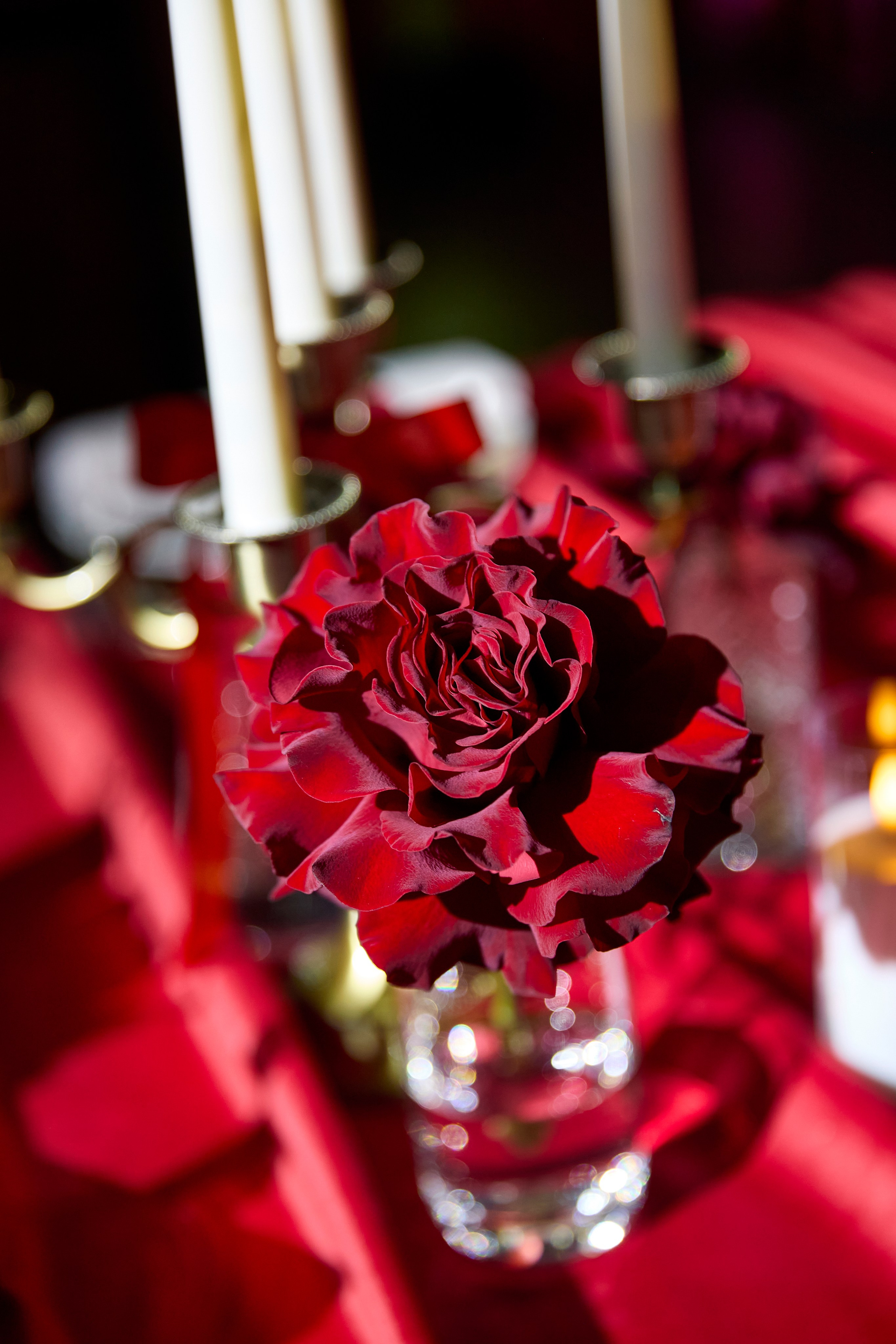 Будда Бар. Свадебный фотограф Анастасия Казакова