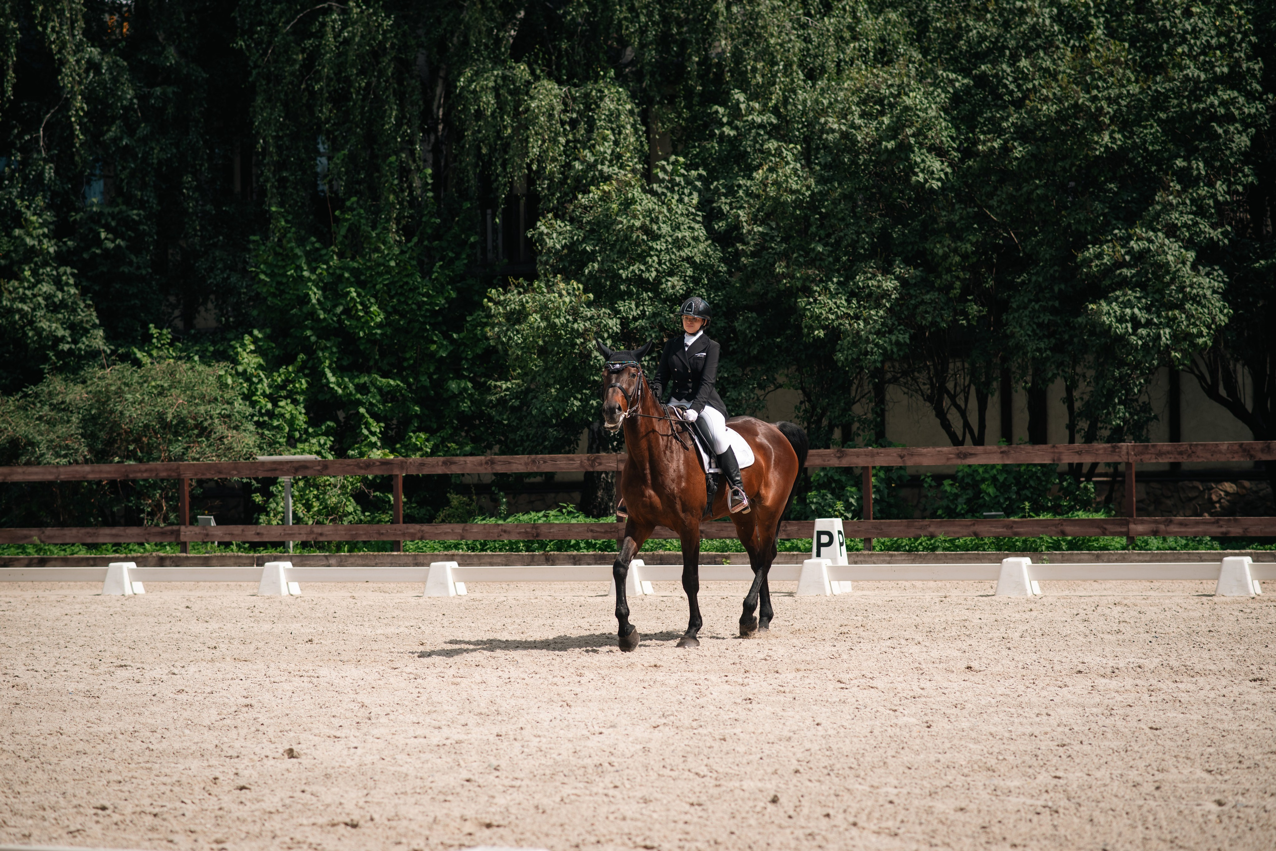 Выездка 10.08.25. Фотограф, визажист. Москва