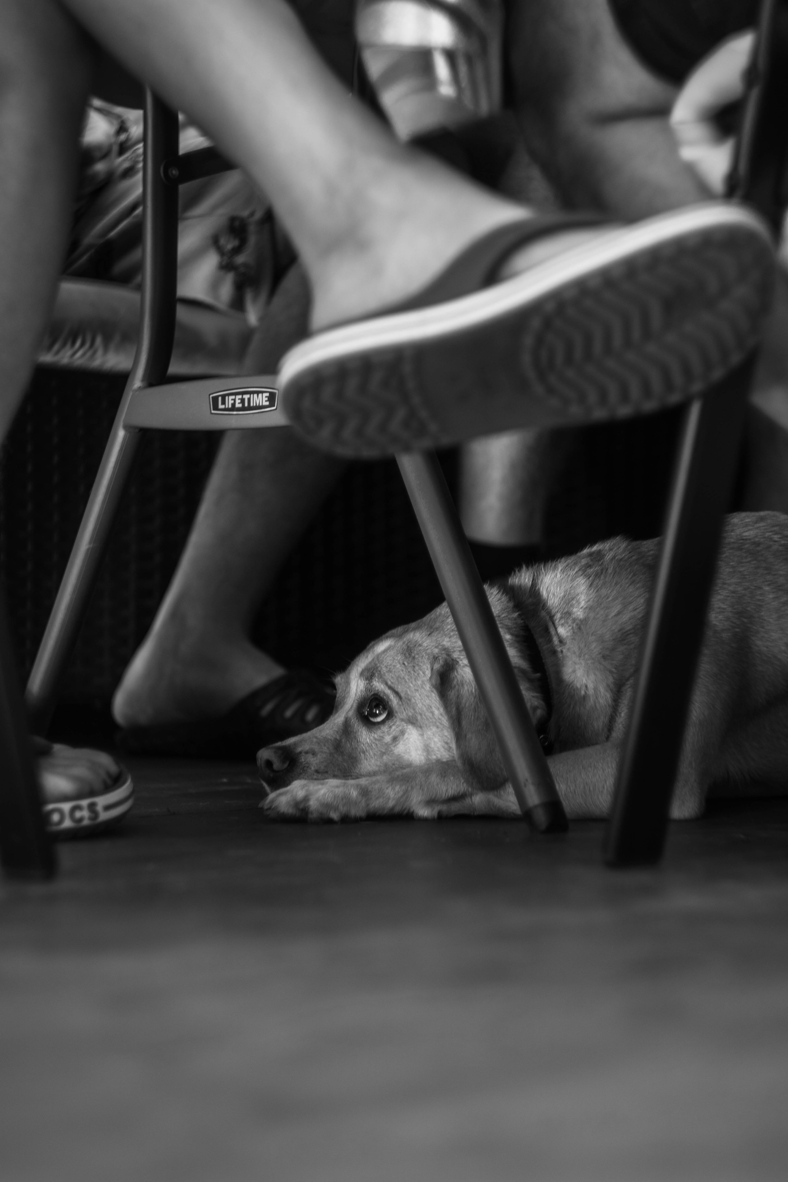 Без людей. Фотограф Крутой Максим