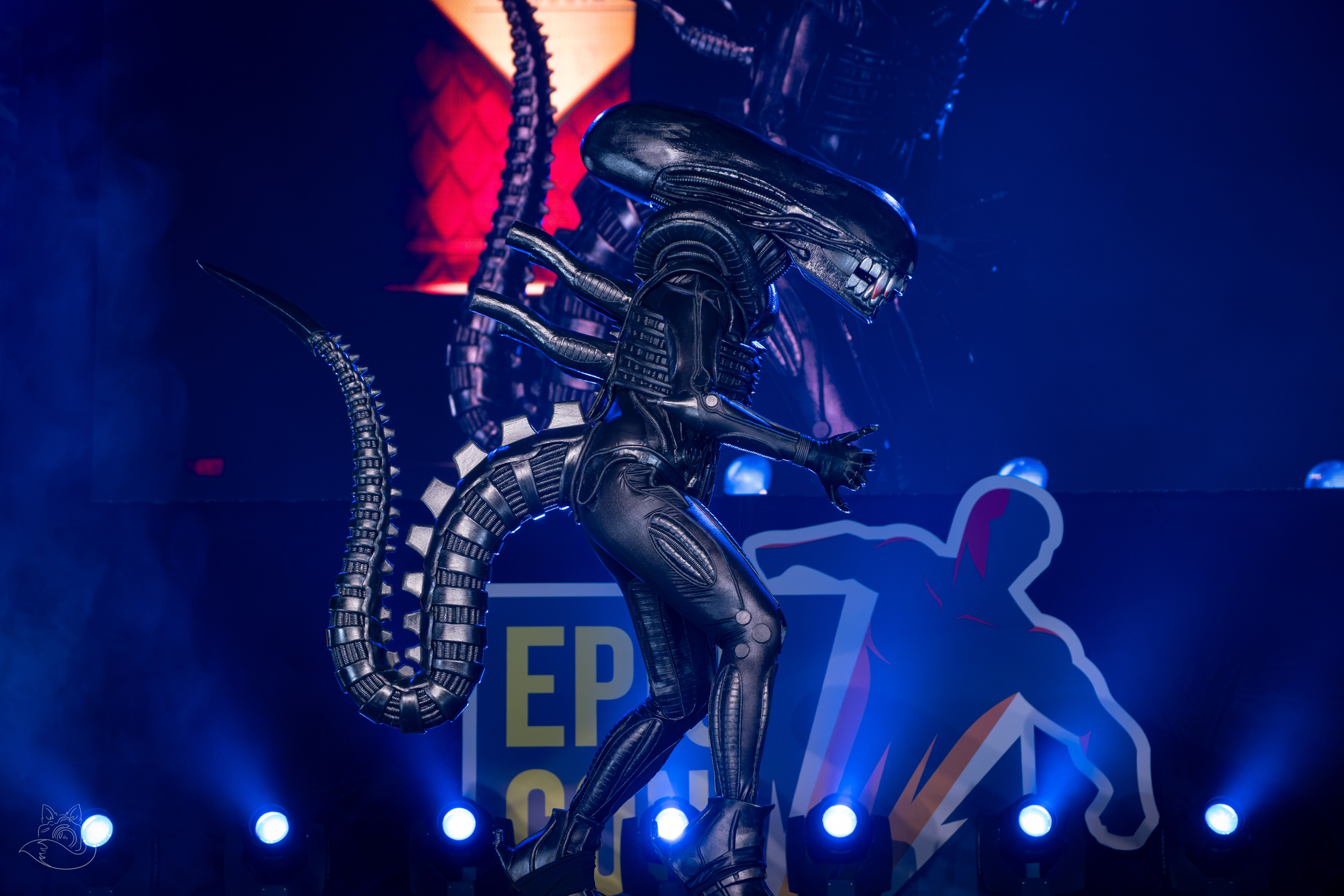 Конкурс Эпик Кон 2026 | Севкабель порт. Cosplay Fotograf