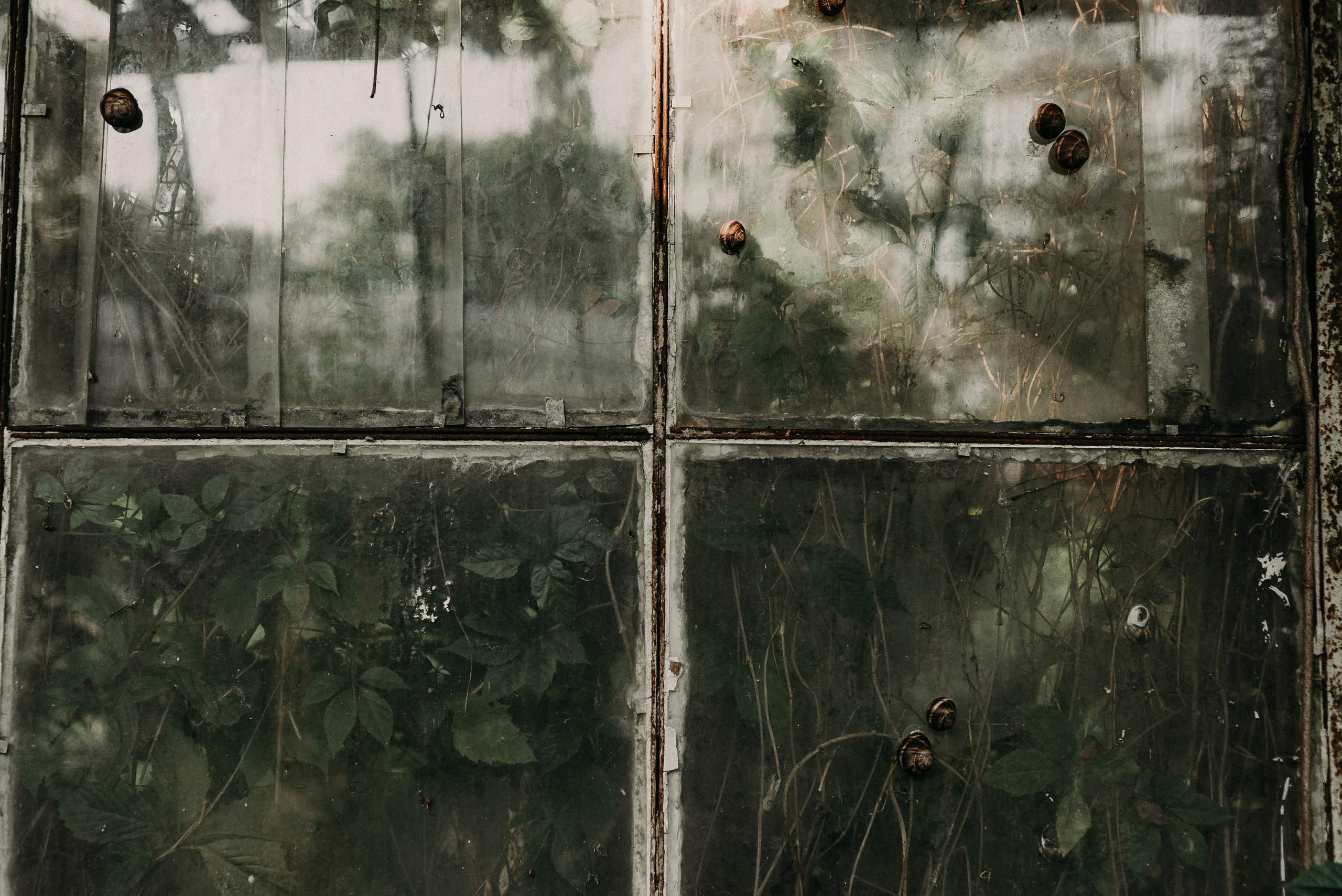 Ростов-на-Дону: через объектив фотографа из Гуанчжоу. Коммерческий и предметный фотограф в Гуанчжоу Коваленко Александр