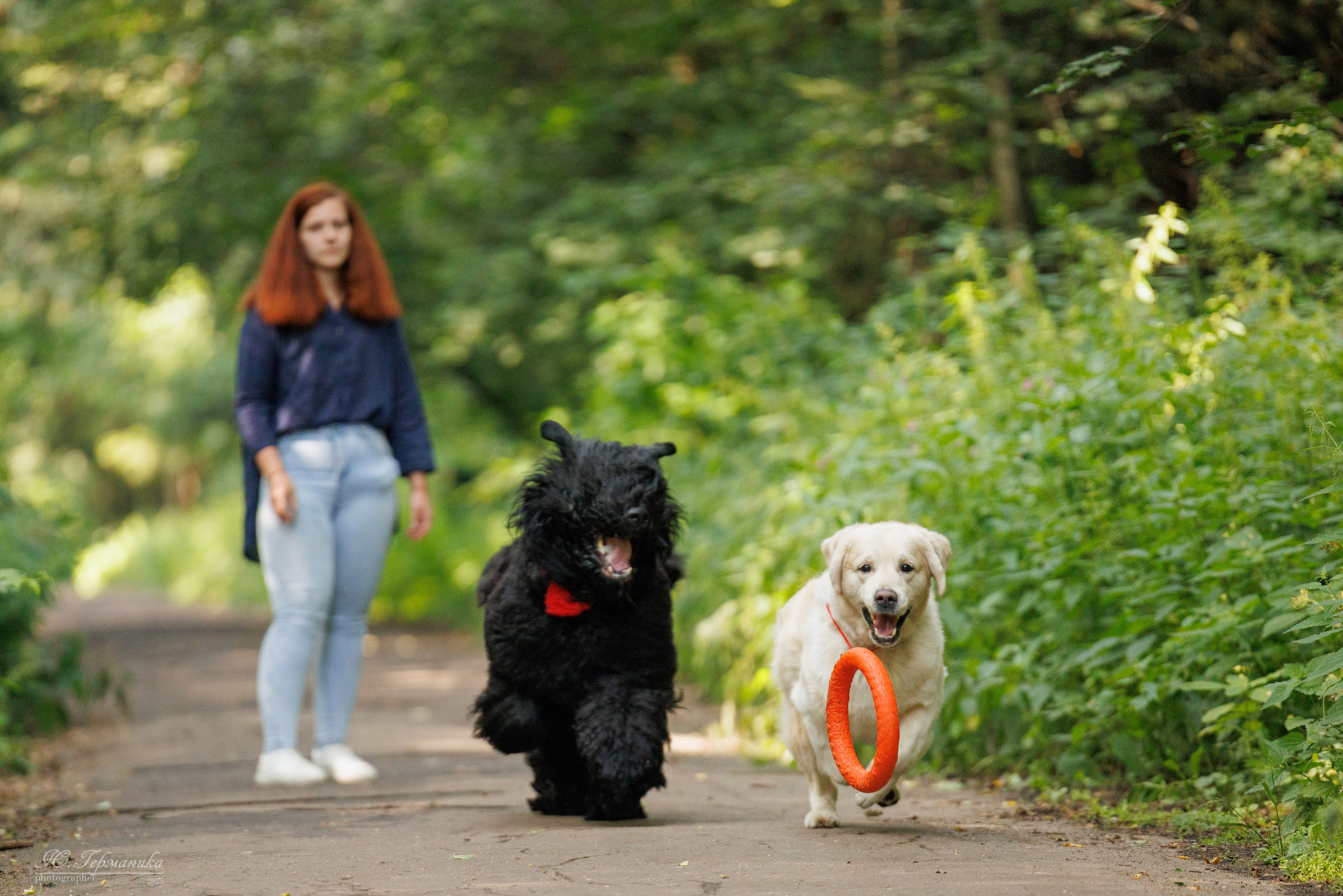 Фотосет Бригада УХ)). Фотограф-анималист Юлия Германика