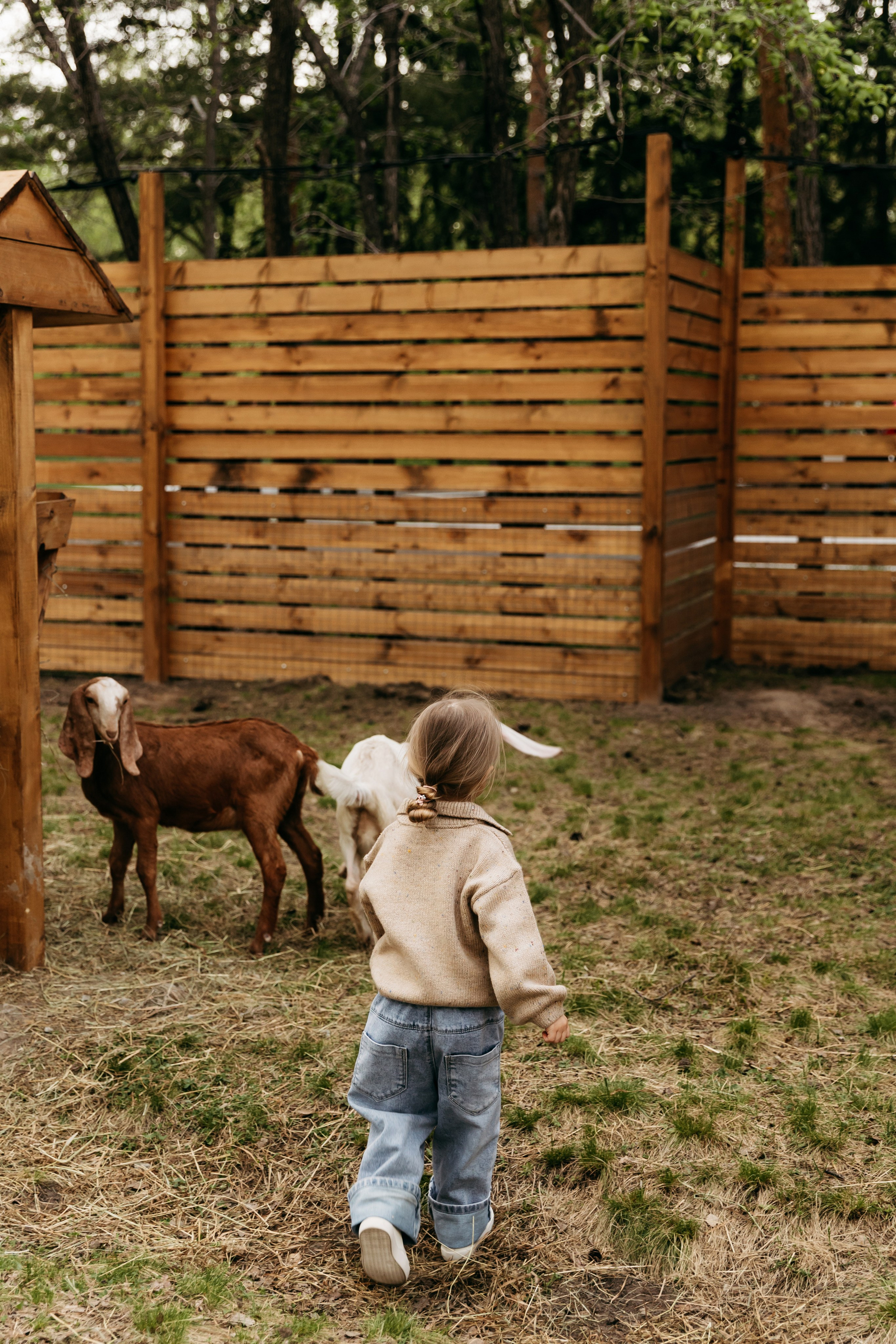Привет, лама!. Главная