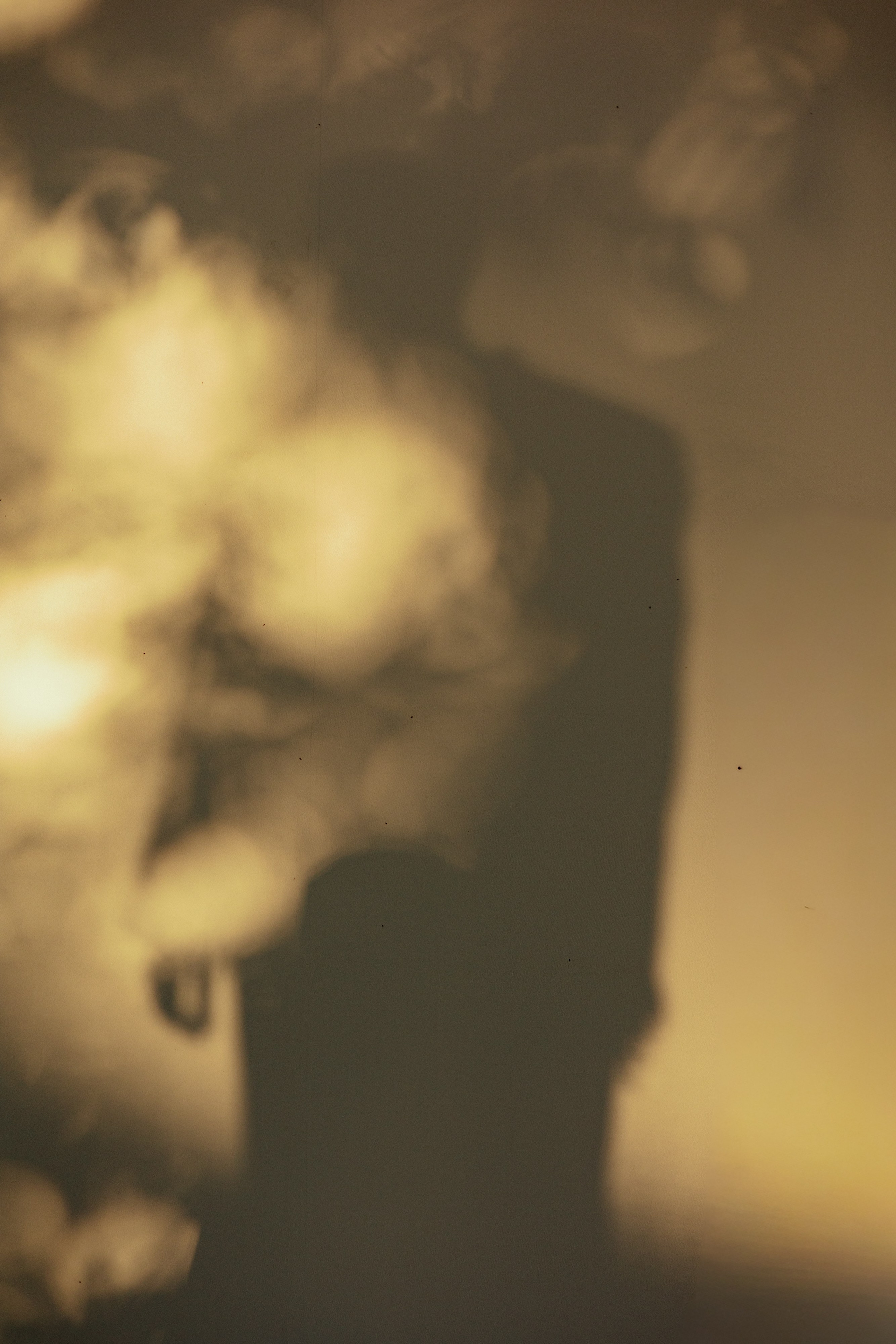 LEVI'S LUV. Fusion Wedding Photographer