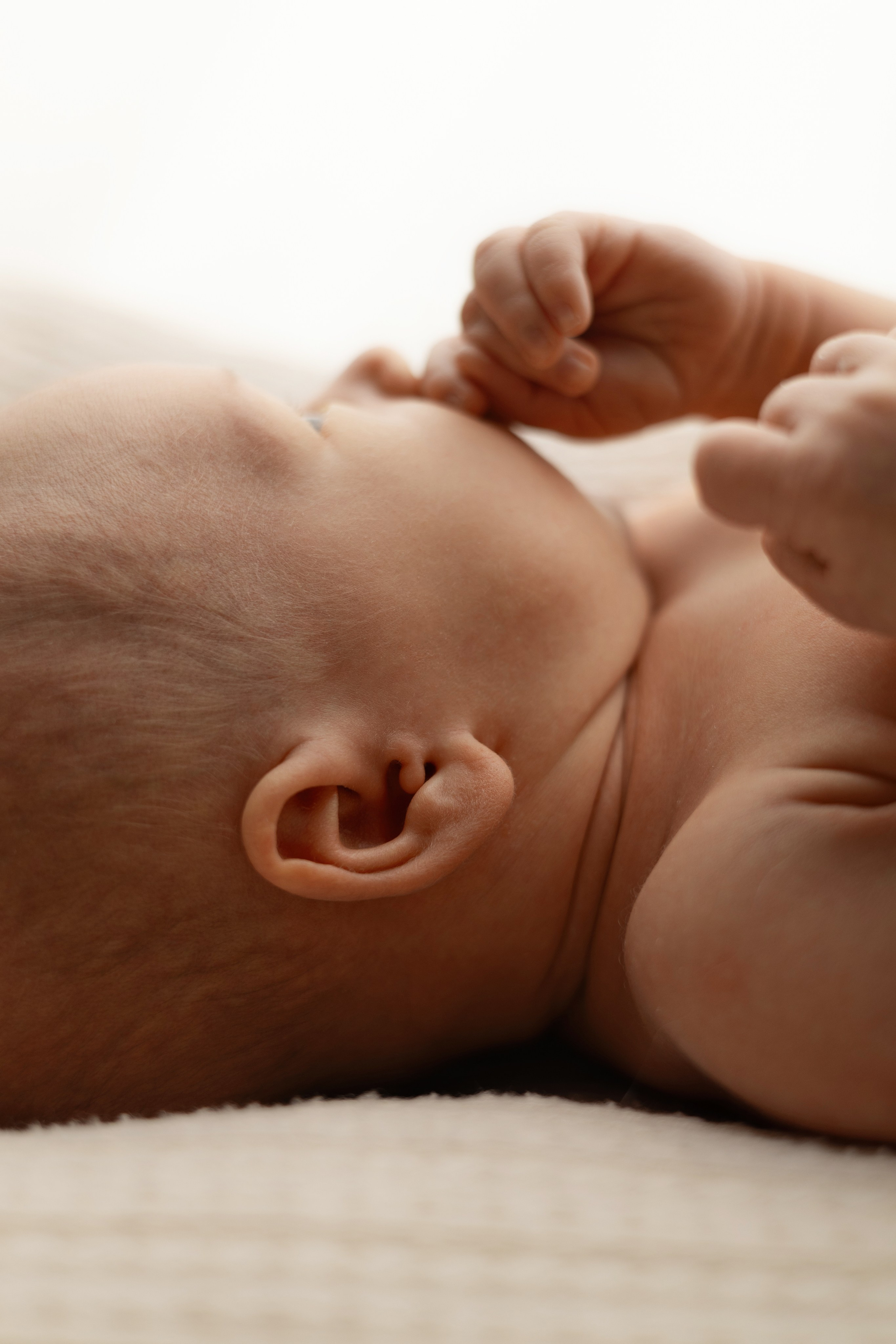 Тихон. Лилия Алтухова — фотограф новорожденных в Москве и области