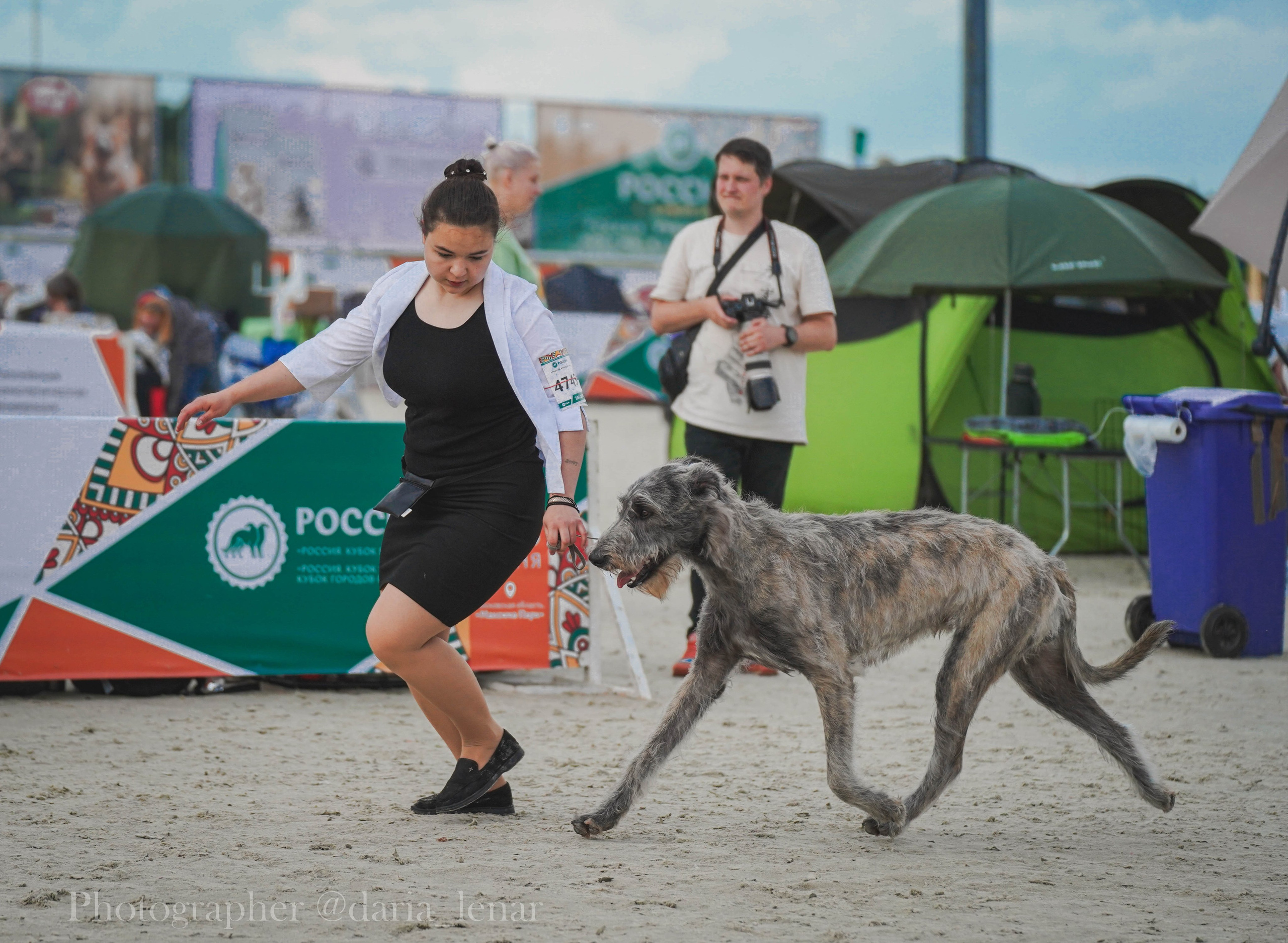 Выставки собак. Фотограф в Москве Ленарская Дарья
