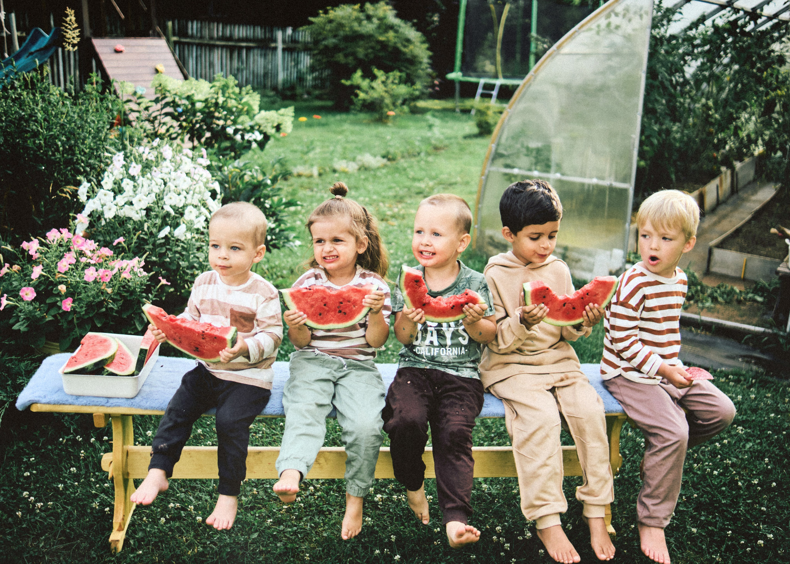 Банда. SHILOVA PHOTO. Шилова Екатерина. Фотограф. Москва