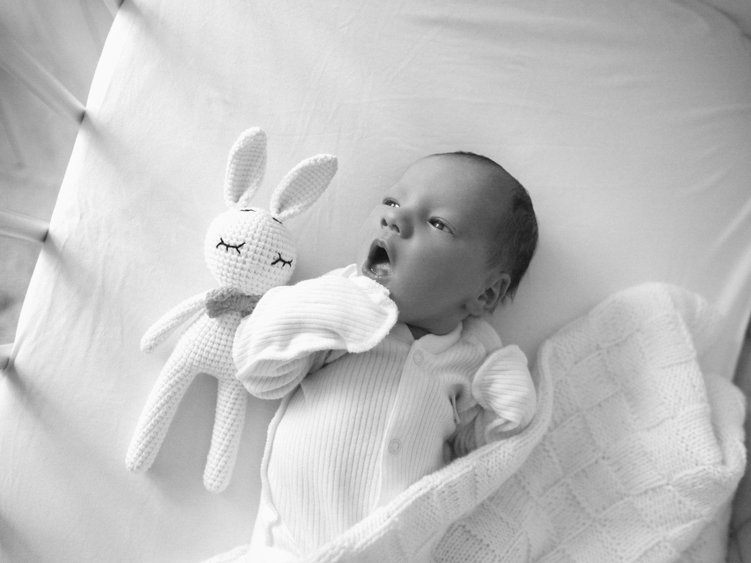 Мироша. SHILOVA PHOTO. Шилова Екатерина. Фотограф. Москва