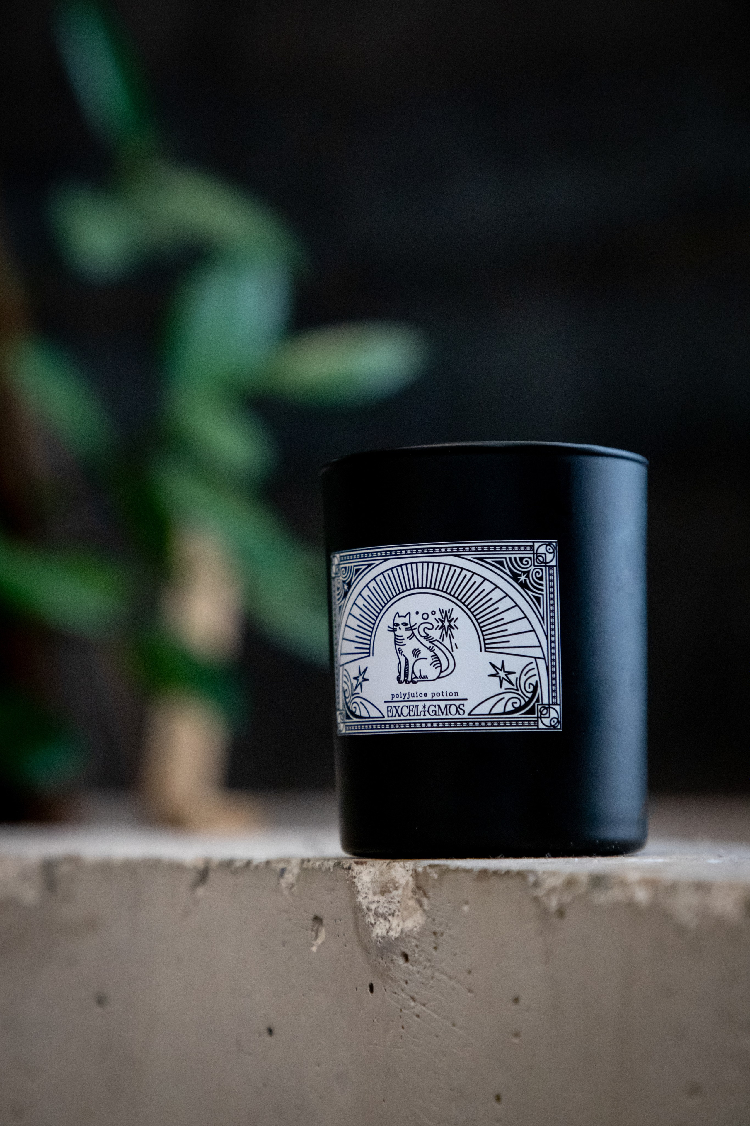 Exceligmos. Фотограф Анастасия Сонина