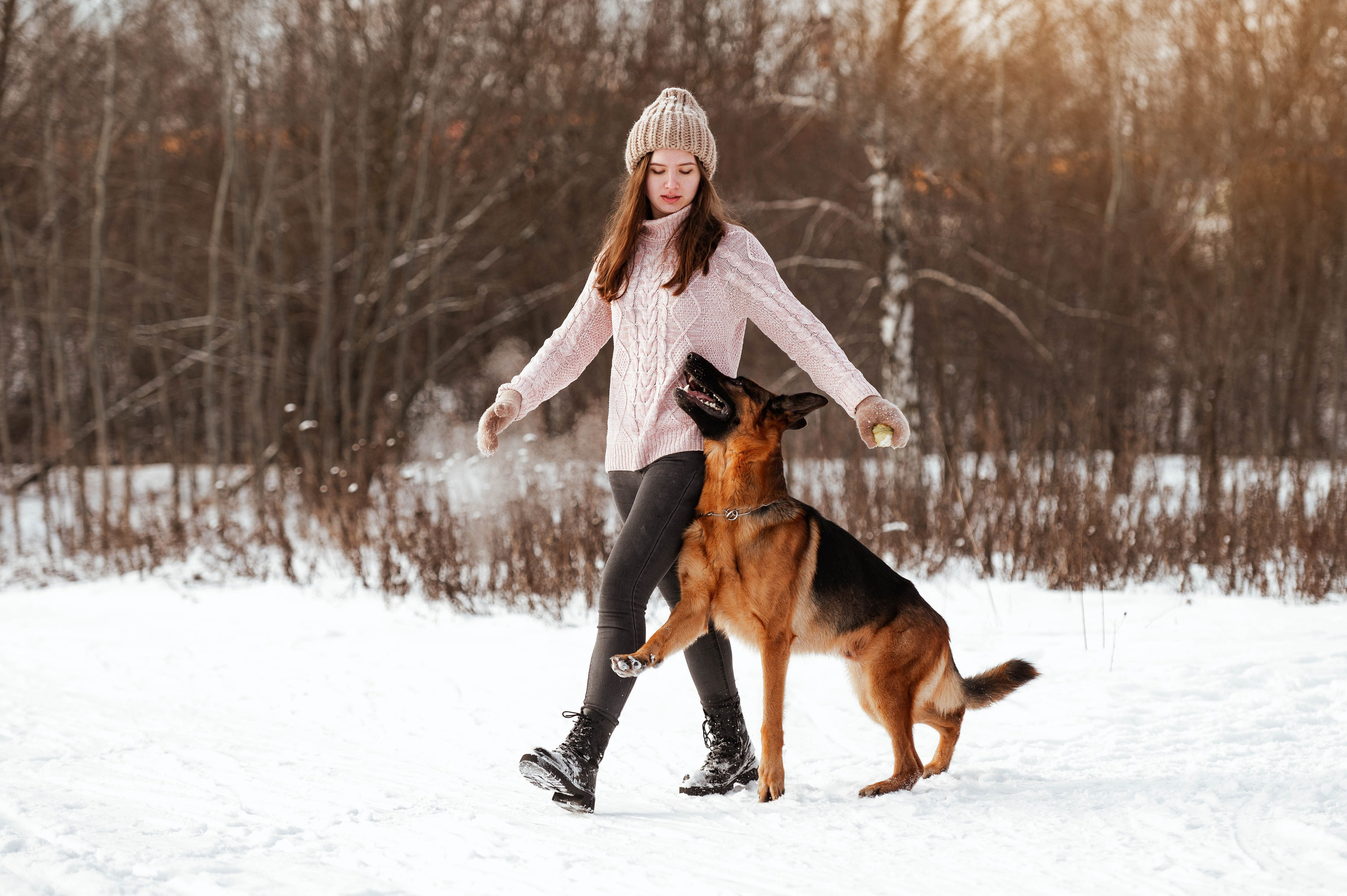 Вольт. Фотограф-анималист