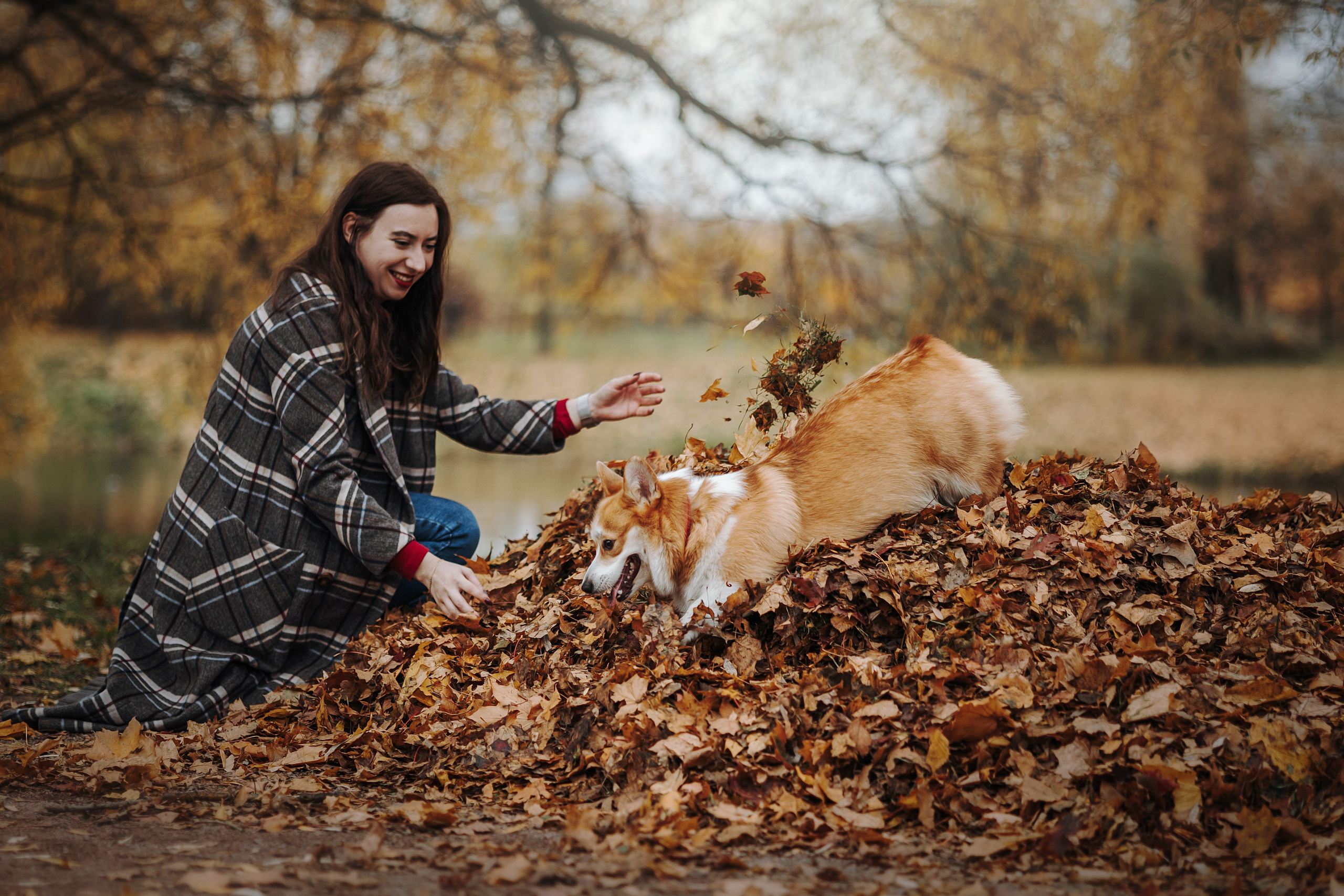 Юля и Терри. Фотограф — Анималист | Санкт-Петербург