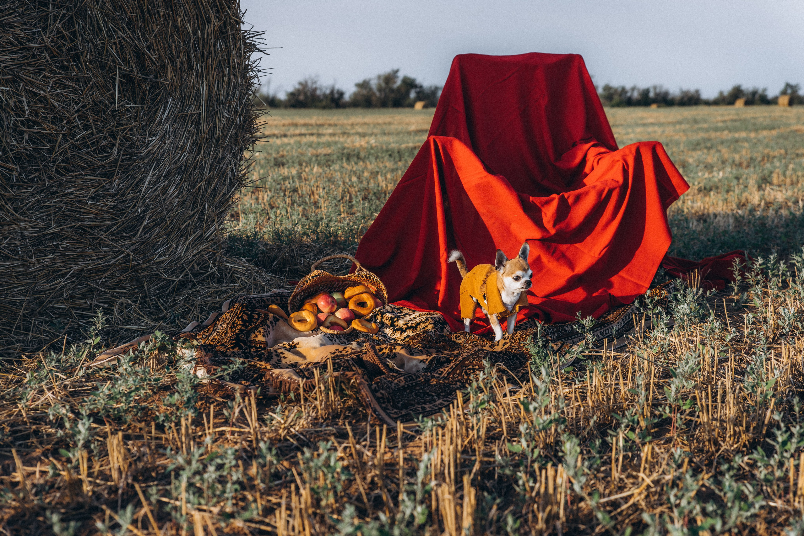 ЛЕНА. Ольга Козлова фотограф Волгоград olkiny-fotki.ru
