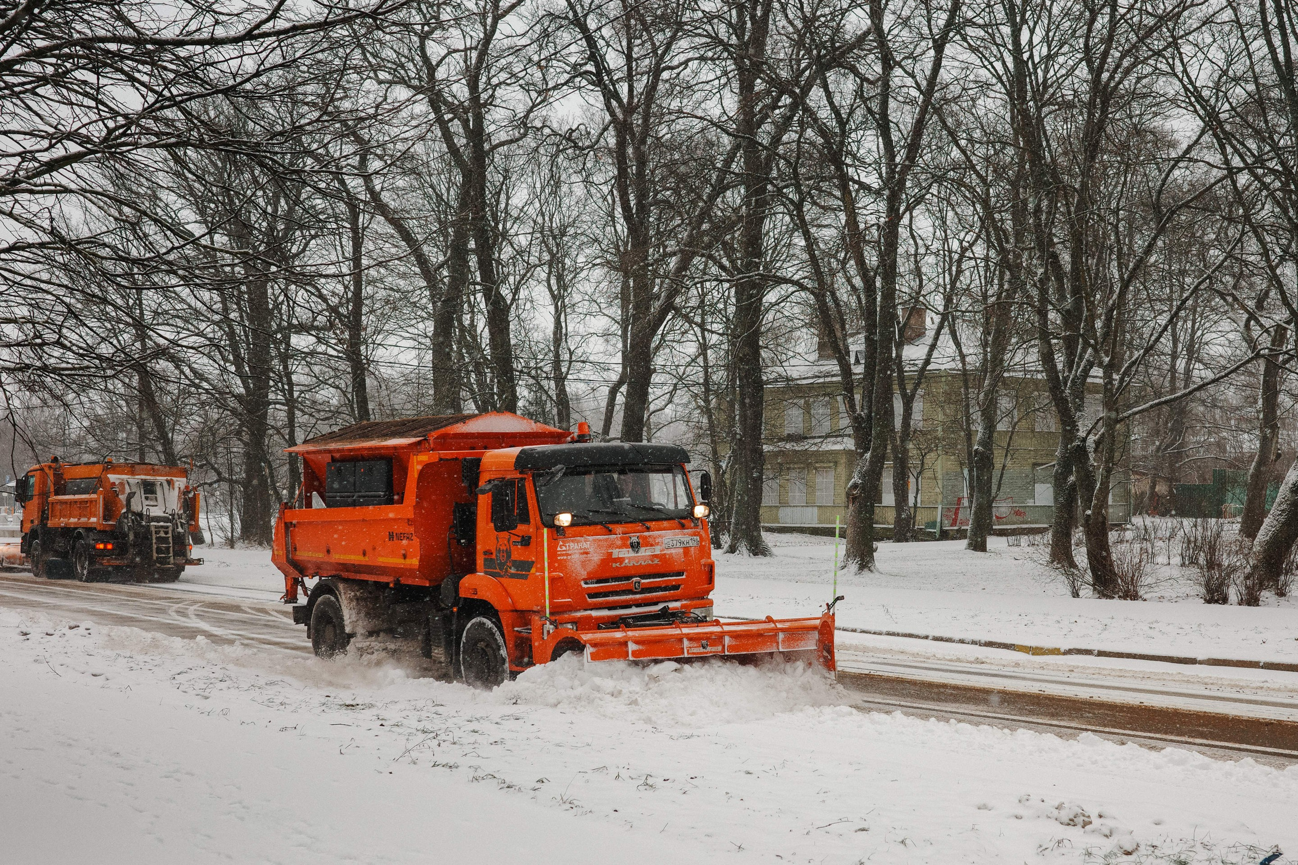 2025.02. Фотограф Алексей Алексеев