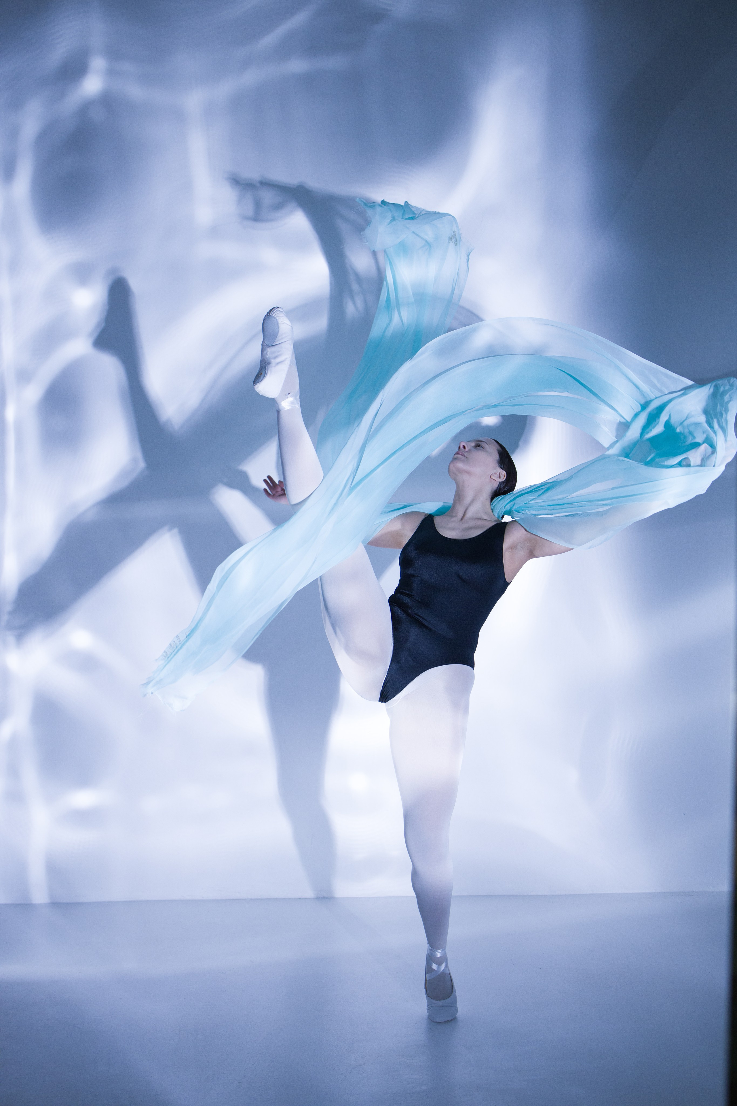 Лилия. Художественная фотография