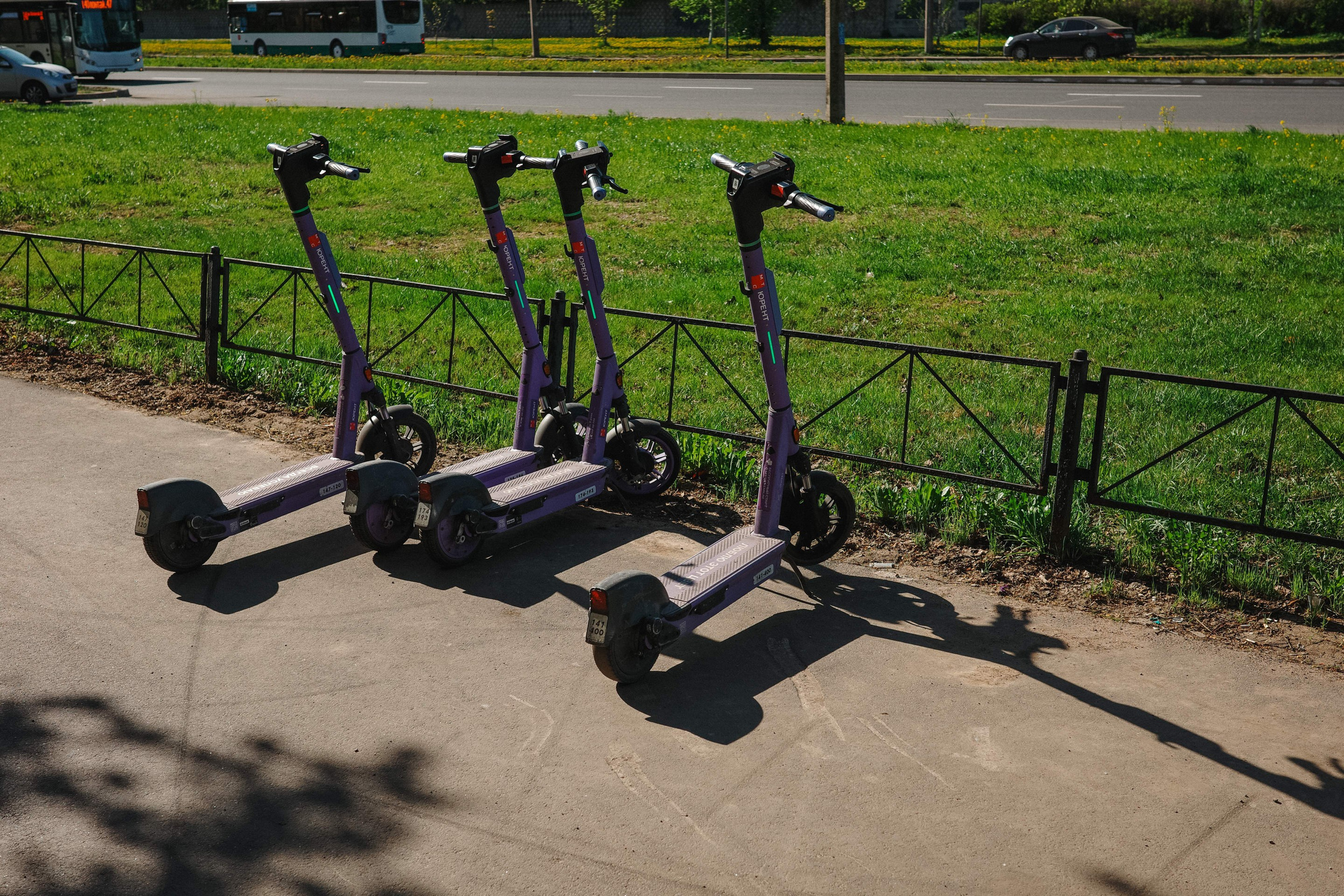 2024.05. Фотограф Алексей Алексеев