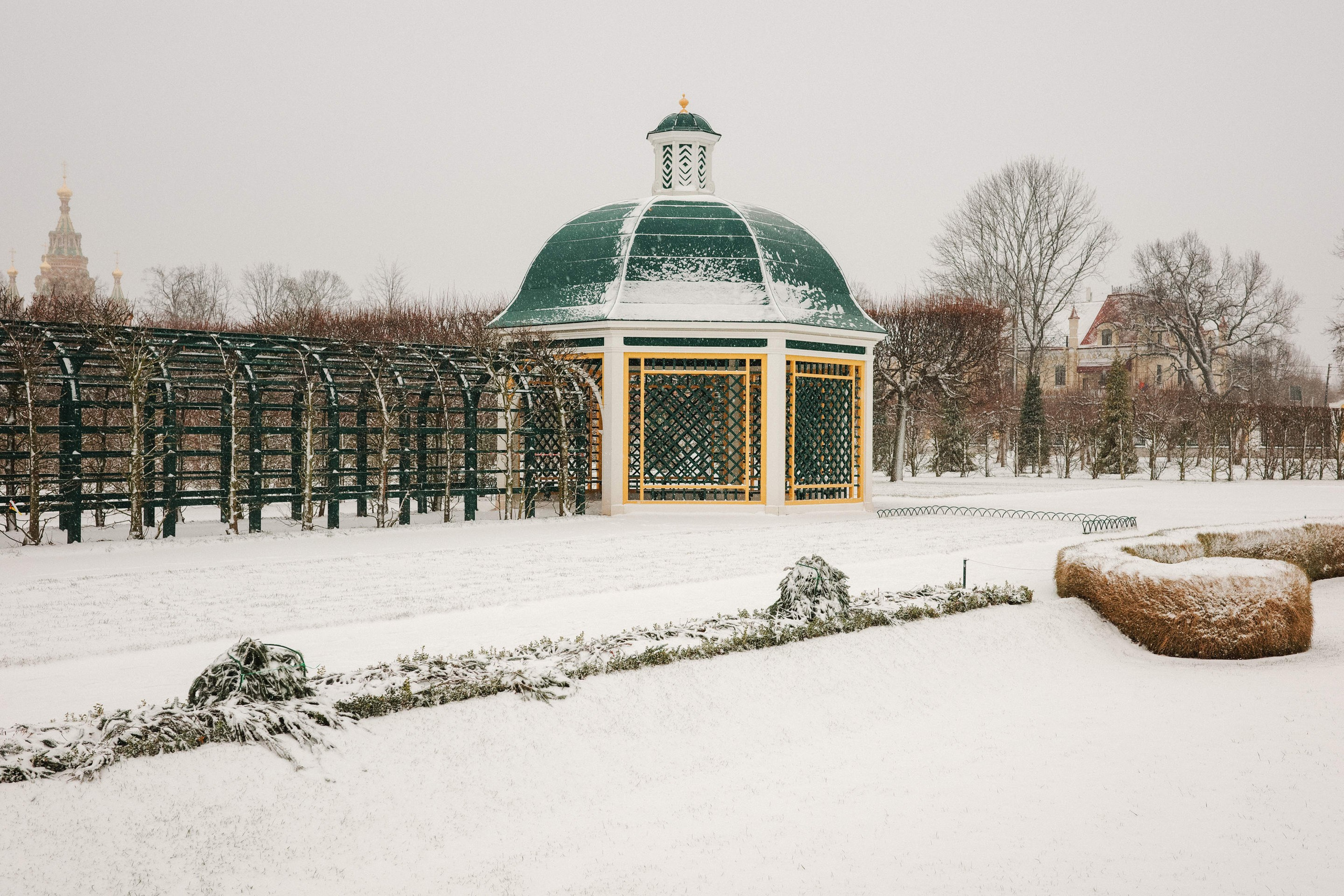 2025.02. Фотограф Алексей Алексеев