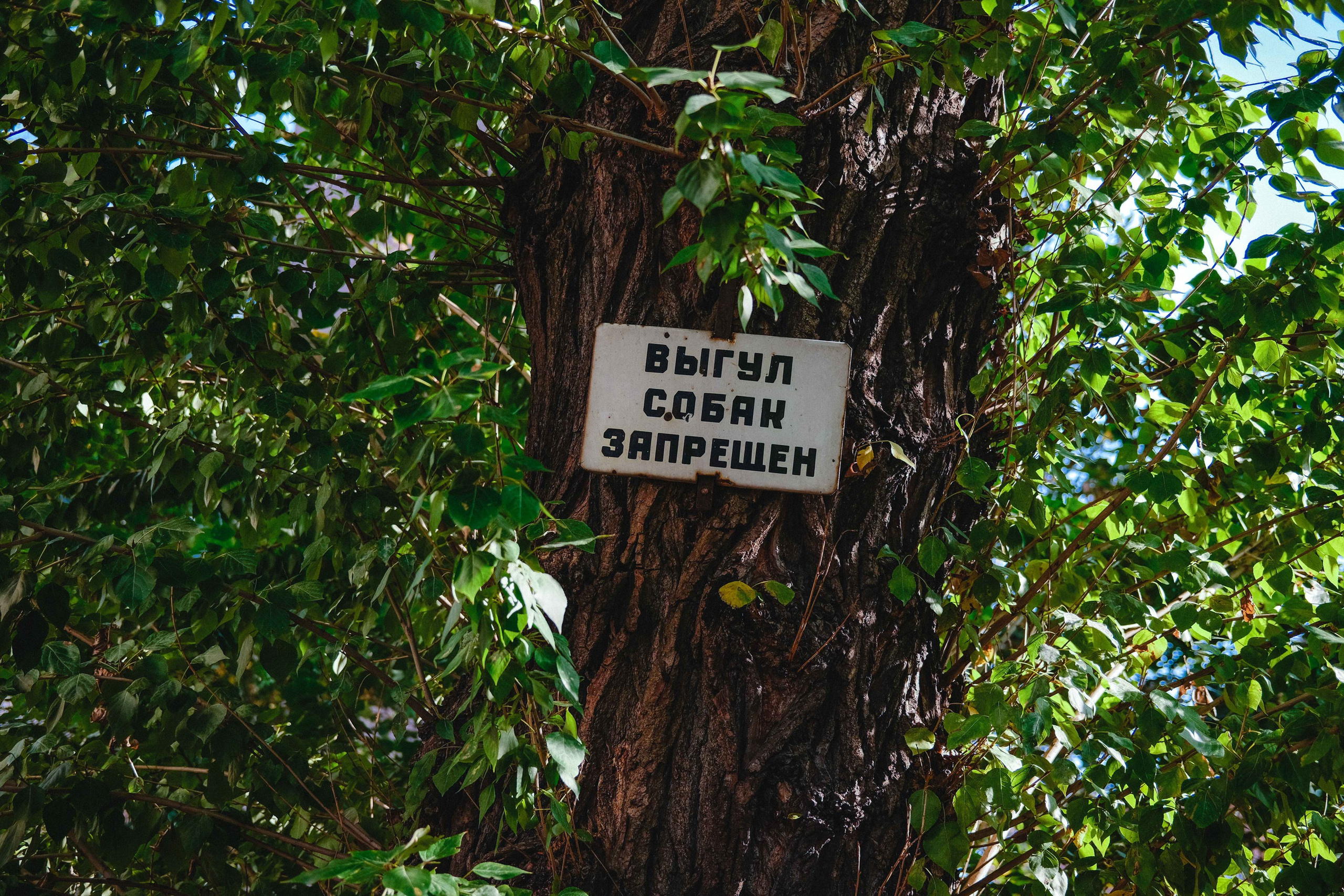2023.09. Фотограф Алексей Алексеев